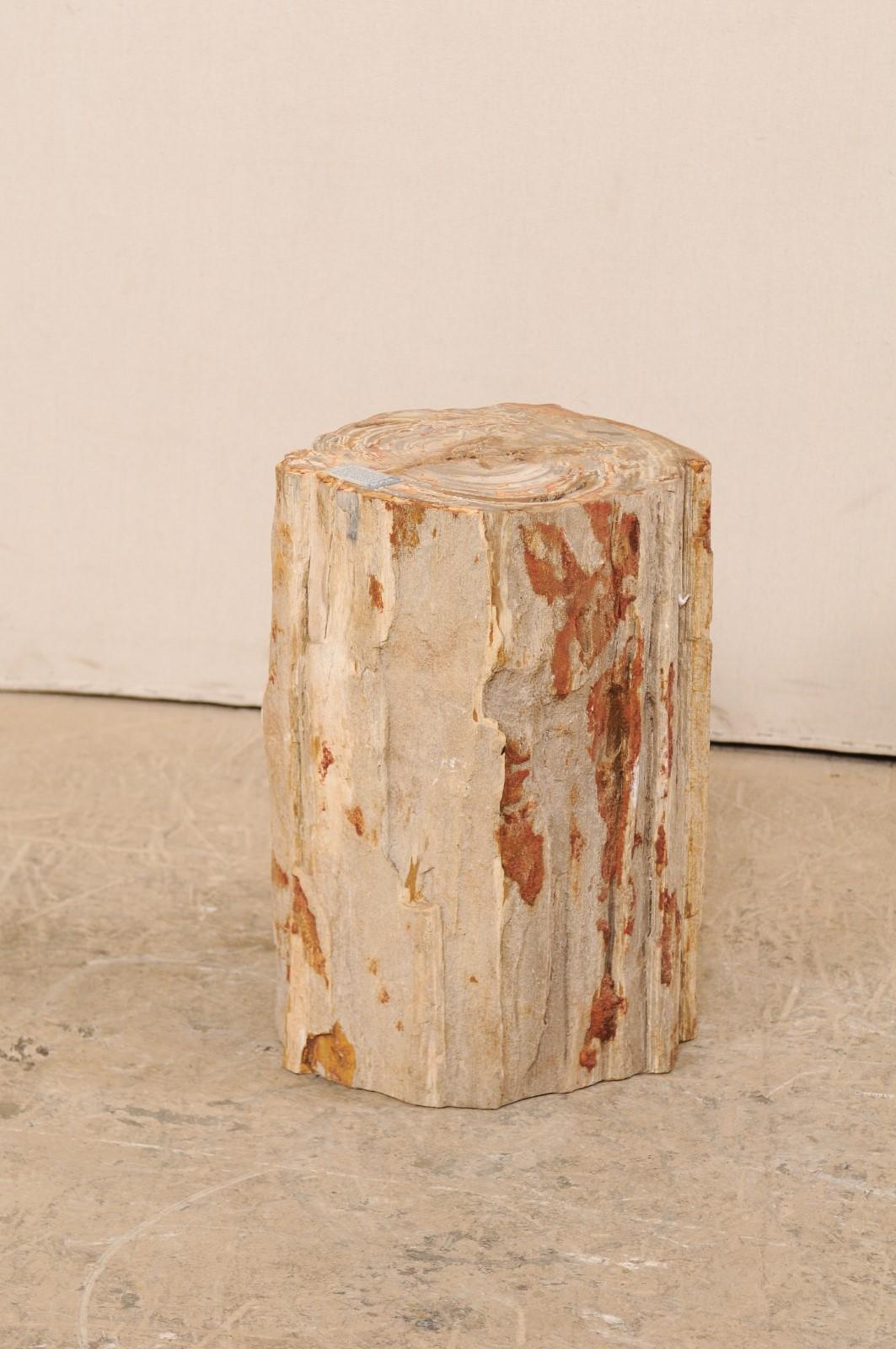 Polished Live-Edge Petrified Wood Stool or Small Drinks Table For Sale