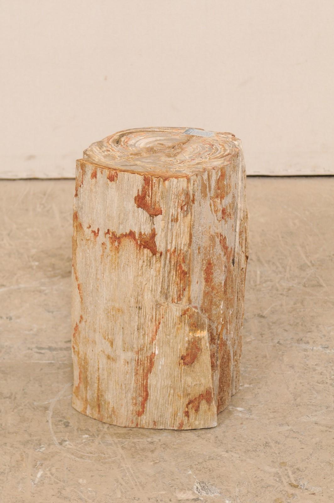 Holzhocker mit lebendiger Kante aus versteinertem Holz oder kleiner Trinktisch (Poliert) im Angebot