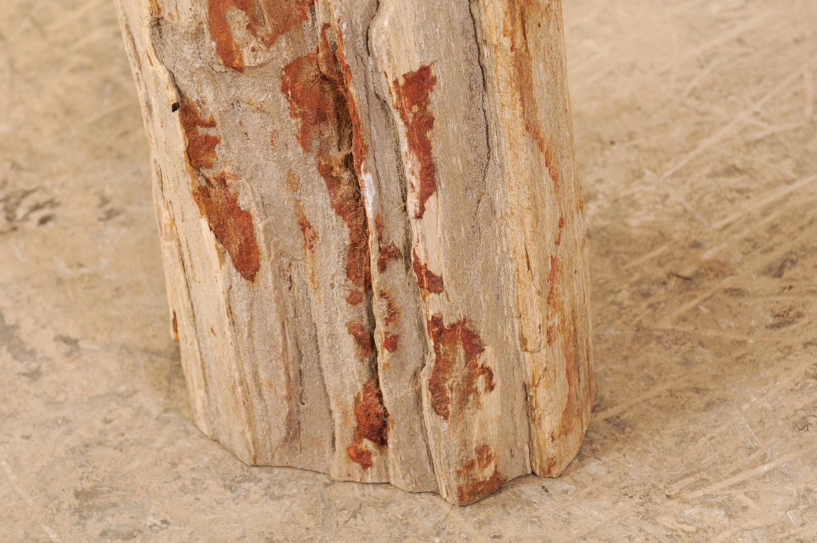 Holzhocker mit lebendiger Kante aus versteinertem Holz oder kleiner Trinktisch (21. Jahrhundert und zeitgenössisch) im Angebot
