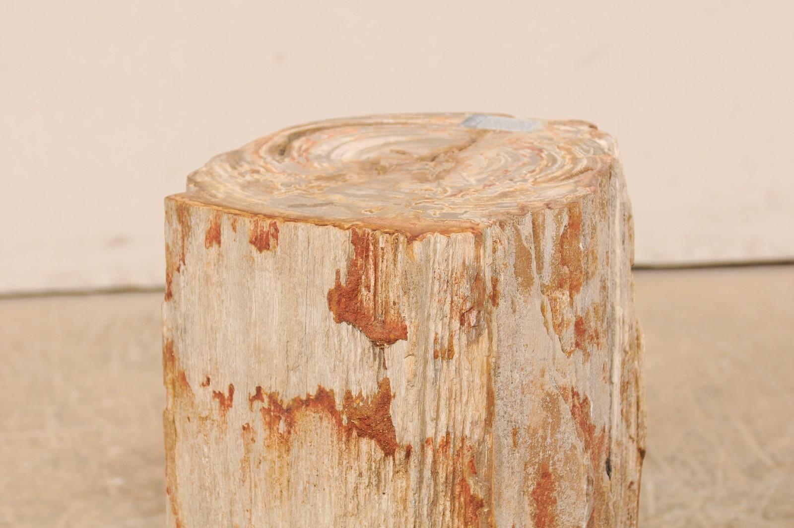 Holzhocker mit lebendiger Kante aus versteinertem Holz oder kleiner Trinktisch im Angebot 1
