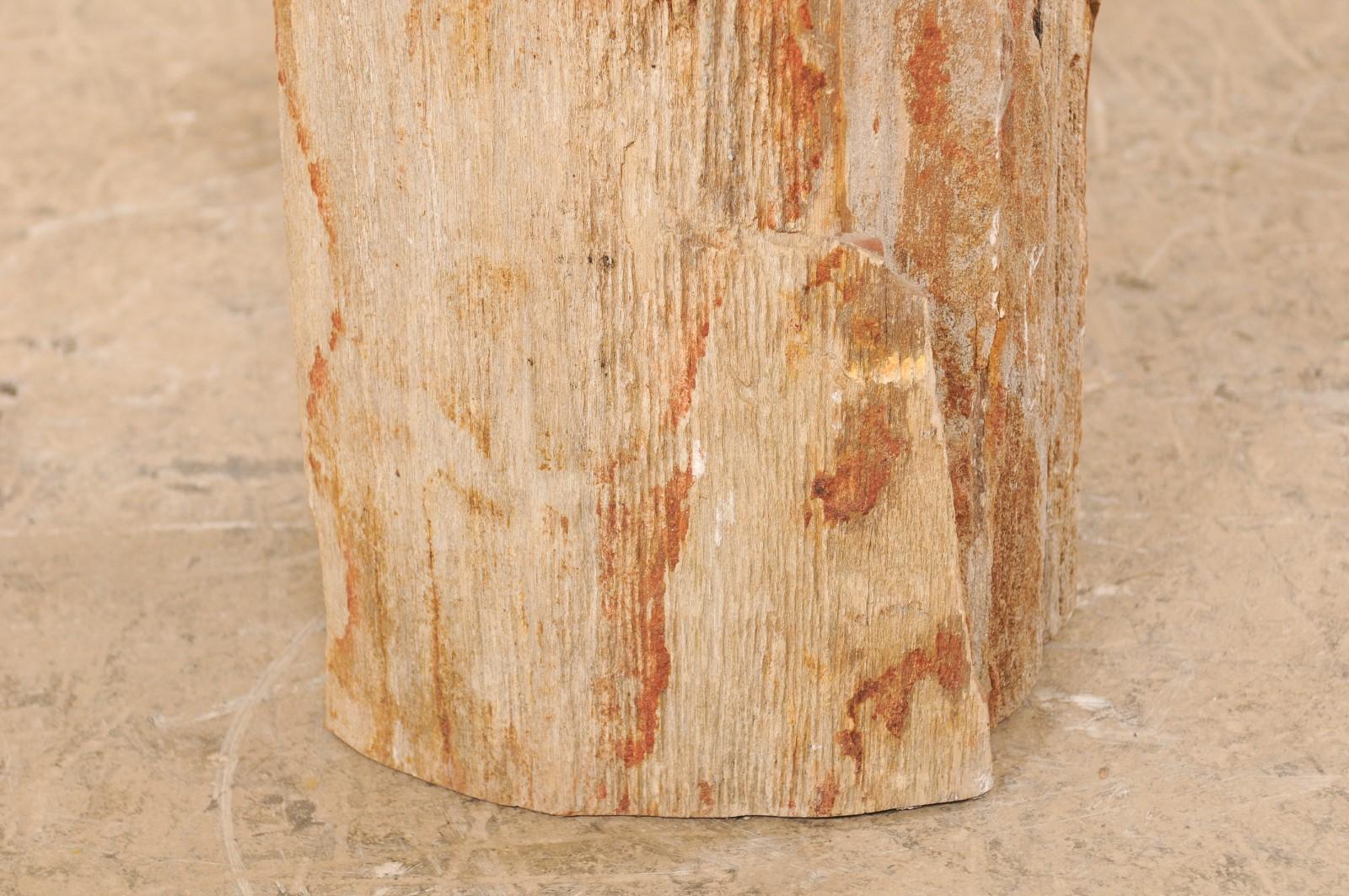Holzhocker mit lebendiger Kante aus versteinertem Holz oder kleiner Trinktisch im Angebot 2