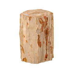 Live-Edge Petrified Wood Stool or Small Drinks Table