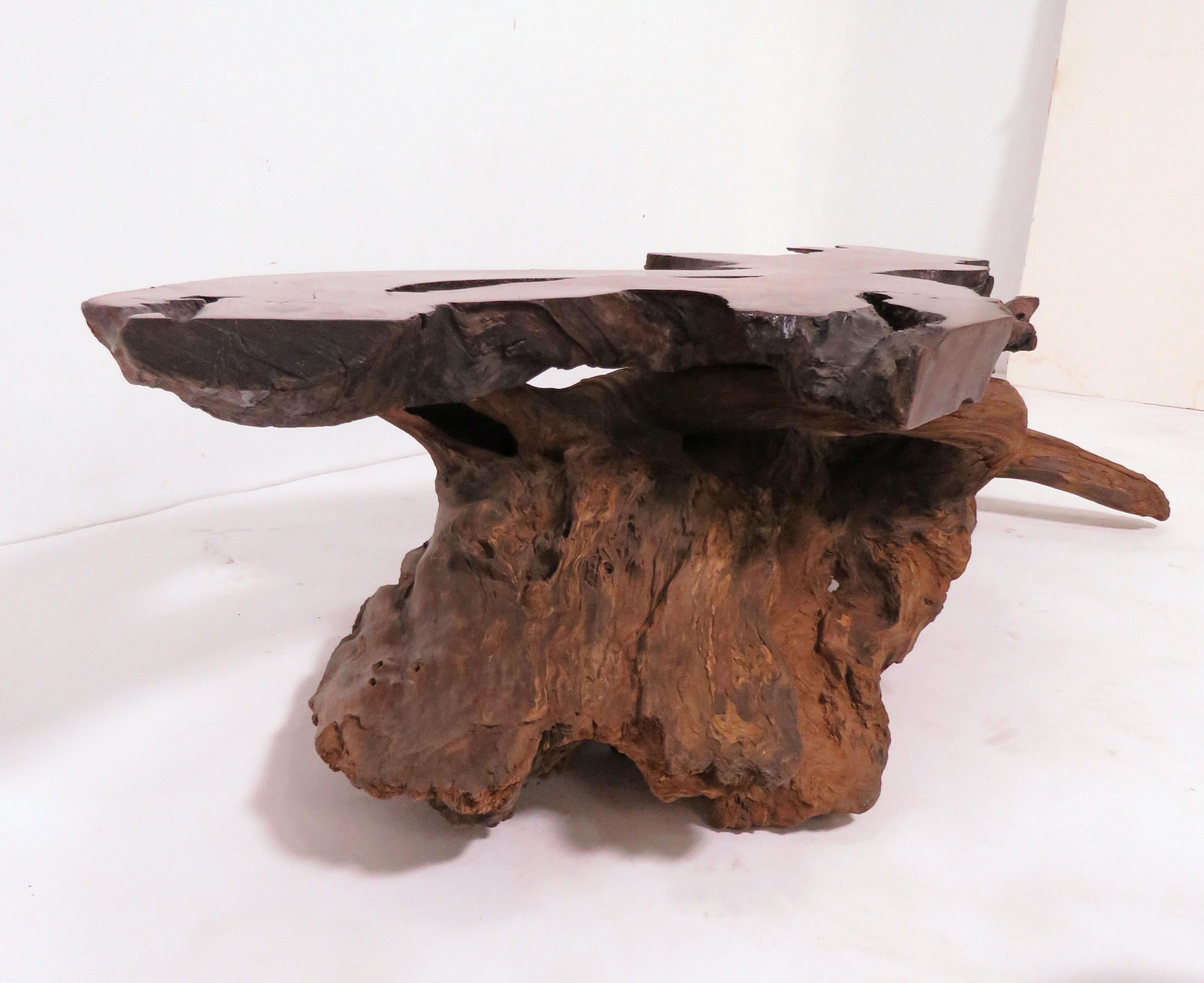 Live Edge Redwood Burl and Driftwood Coffee Table in Manner of Daryl Stokes 1