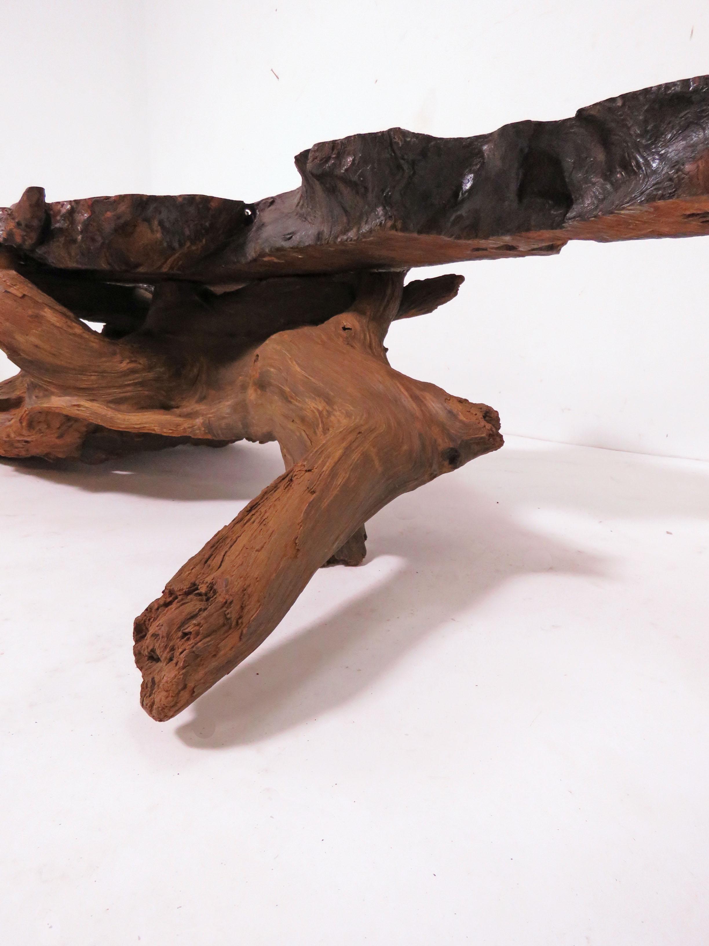 Live Edge Redwood Burl and Driftwood Coffee Table in Manner of Daryl Stokes 2
