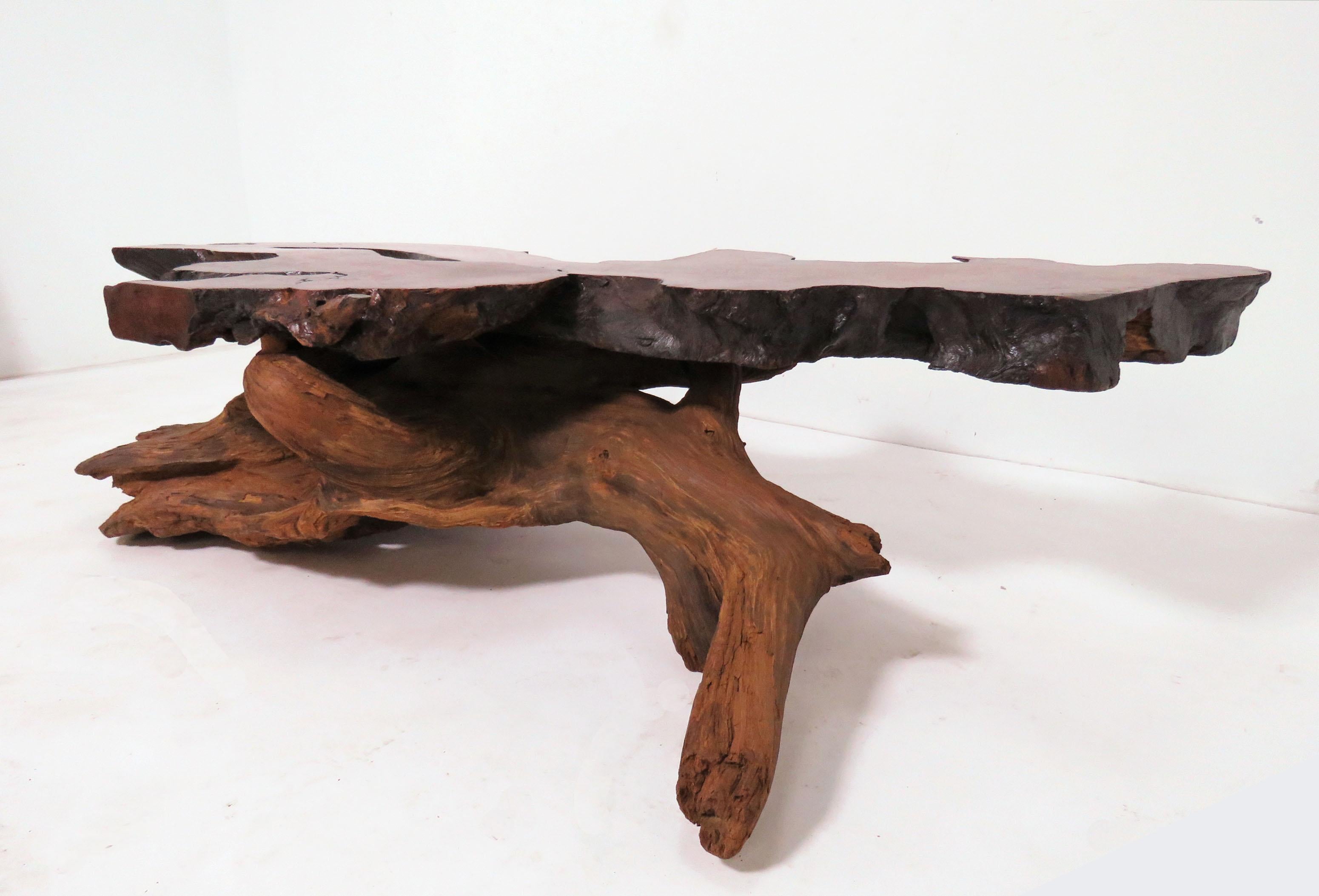 Live Edge Redwood Burl and Driftwood Coffee Table in Manner of Daryl Stokes 3