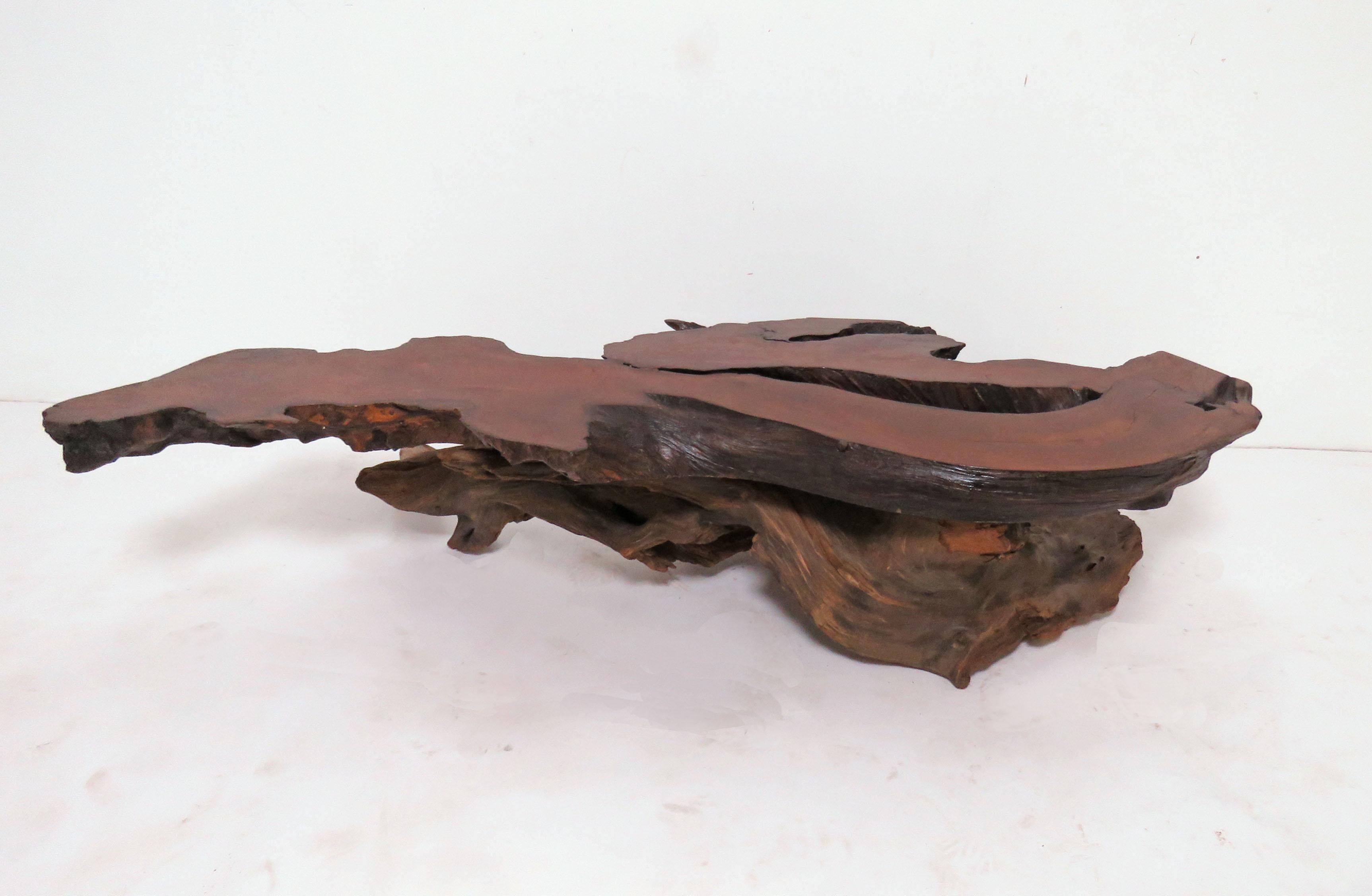 Live Edge Redwood Burl and Driftwood Coffee Table in Manner of Daryl Stokes 4