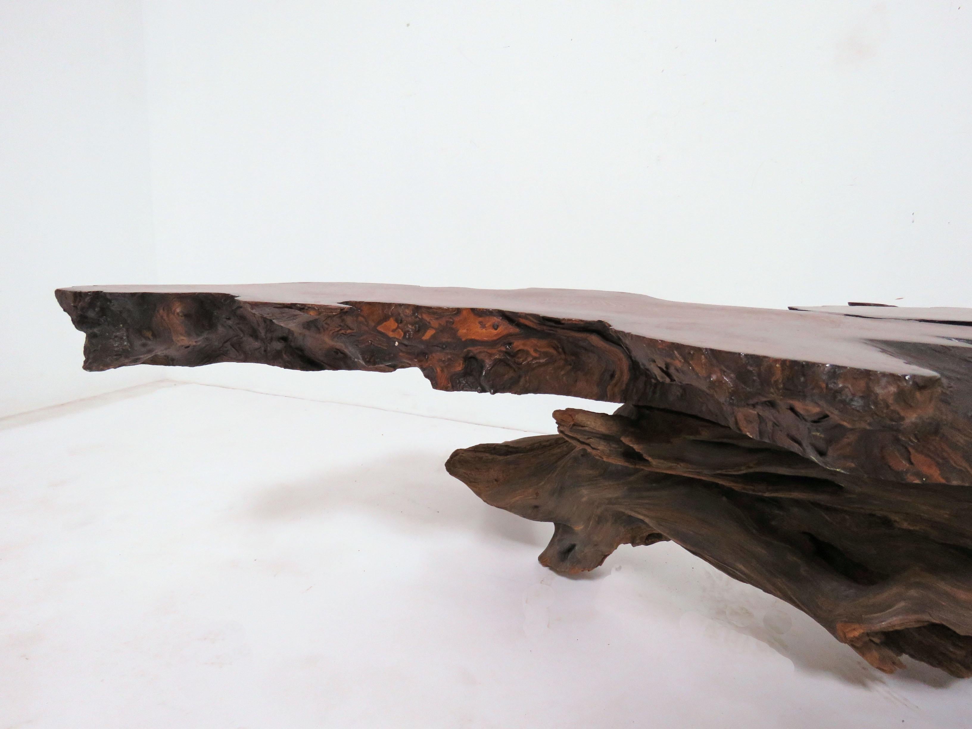 Live Edge Redwood Burl and Driftwood Coffee Table in Manner of Daryl Stokes 5
