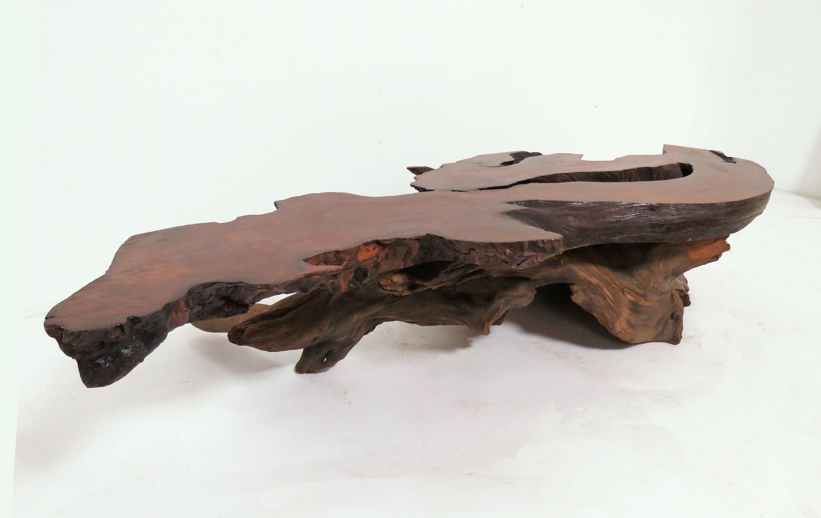 Live Edge Redwood Burl and Driftwood Coffee Table in Manner of Daryl Stokes 6