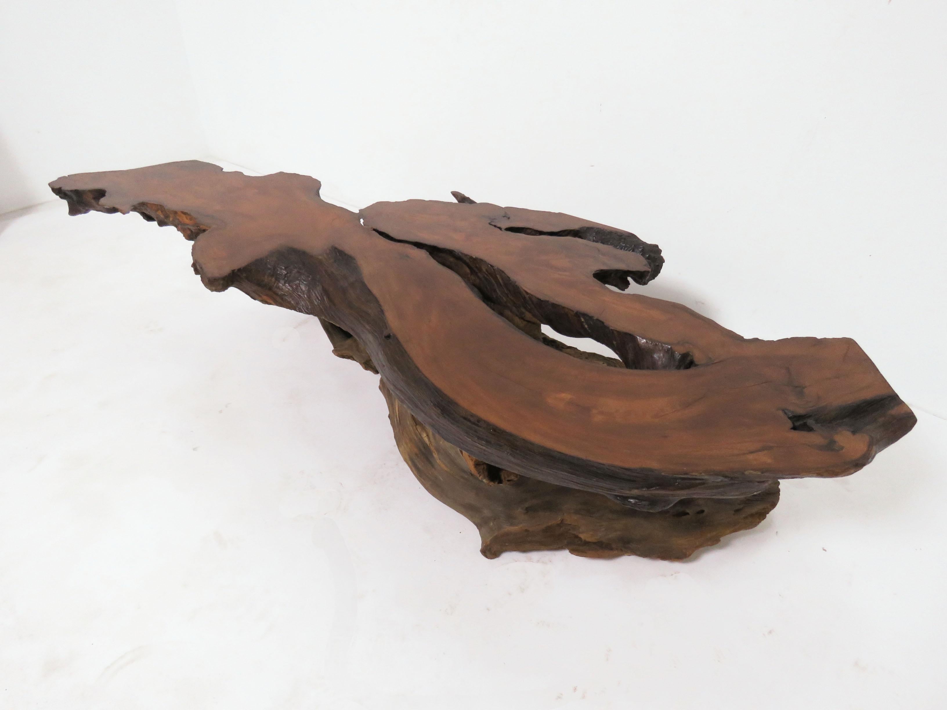 Live Edge Redwood Burl and Driftwood Coffee Table in Manner of Daryl Stokes 7