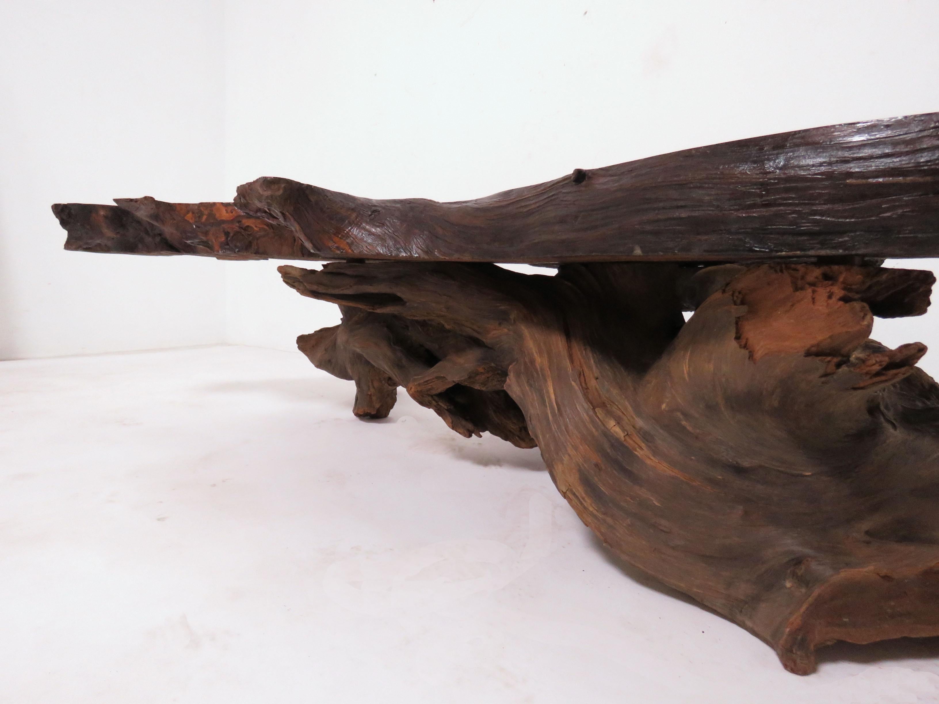 Live Edge Redwood Burl and Driftwood Coffee Table in Manner of Daryl Stokes 8