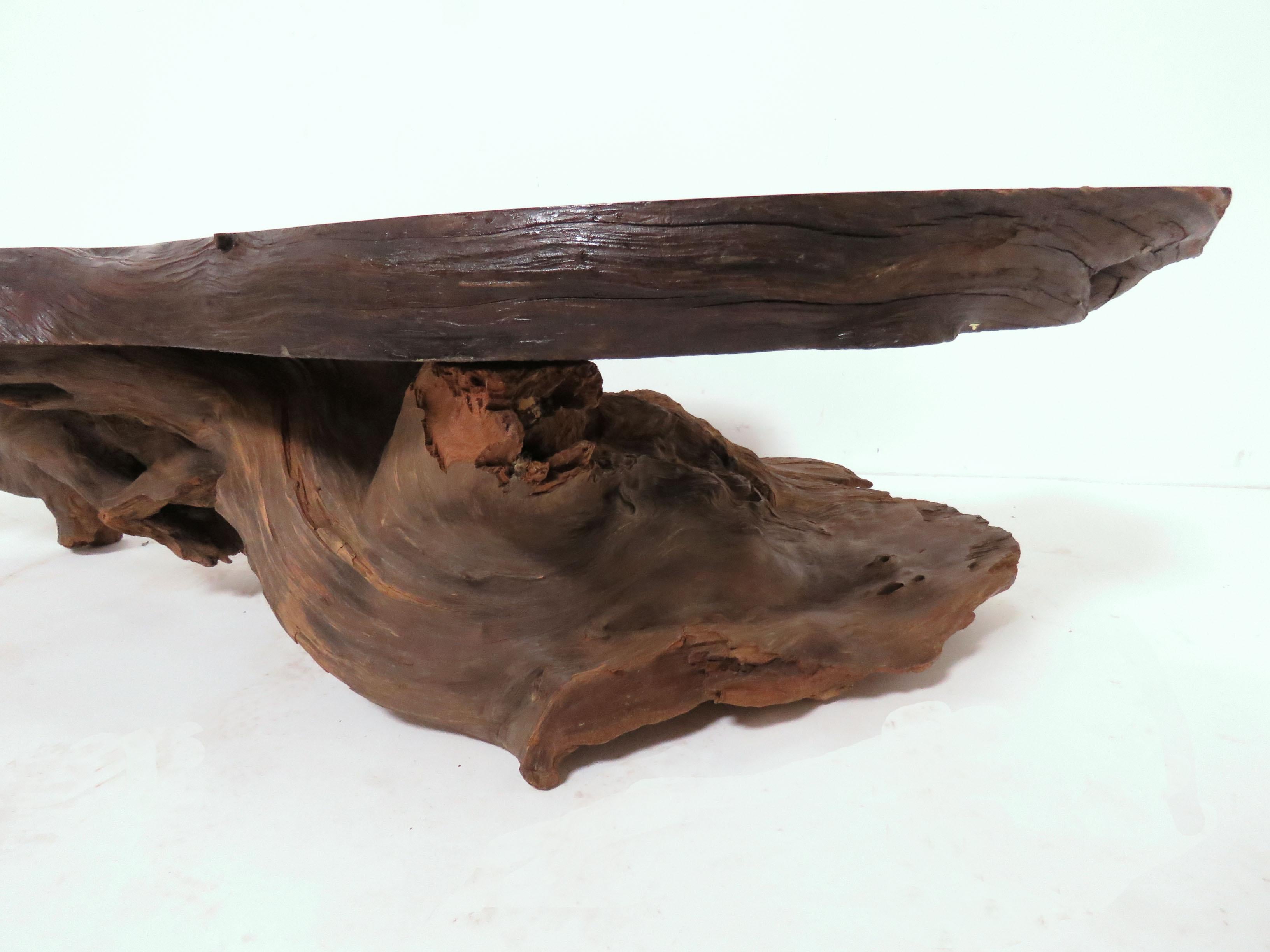 Live Edge Redwood Burl and Driftwood Coffee Table in Manner of Daryl Stokes 9