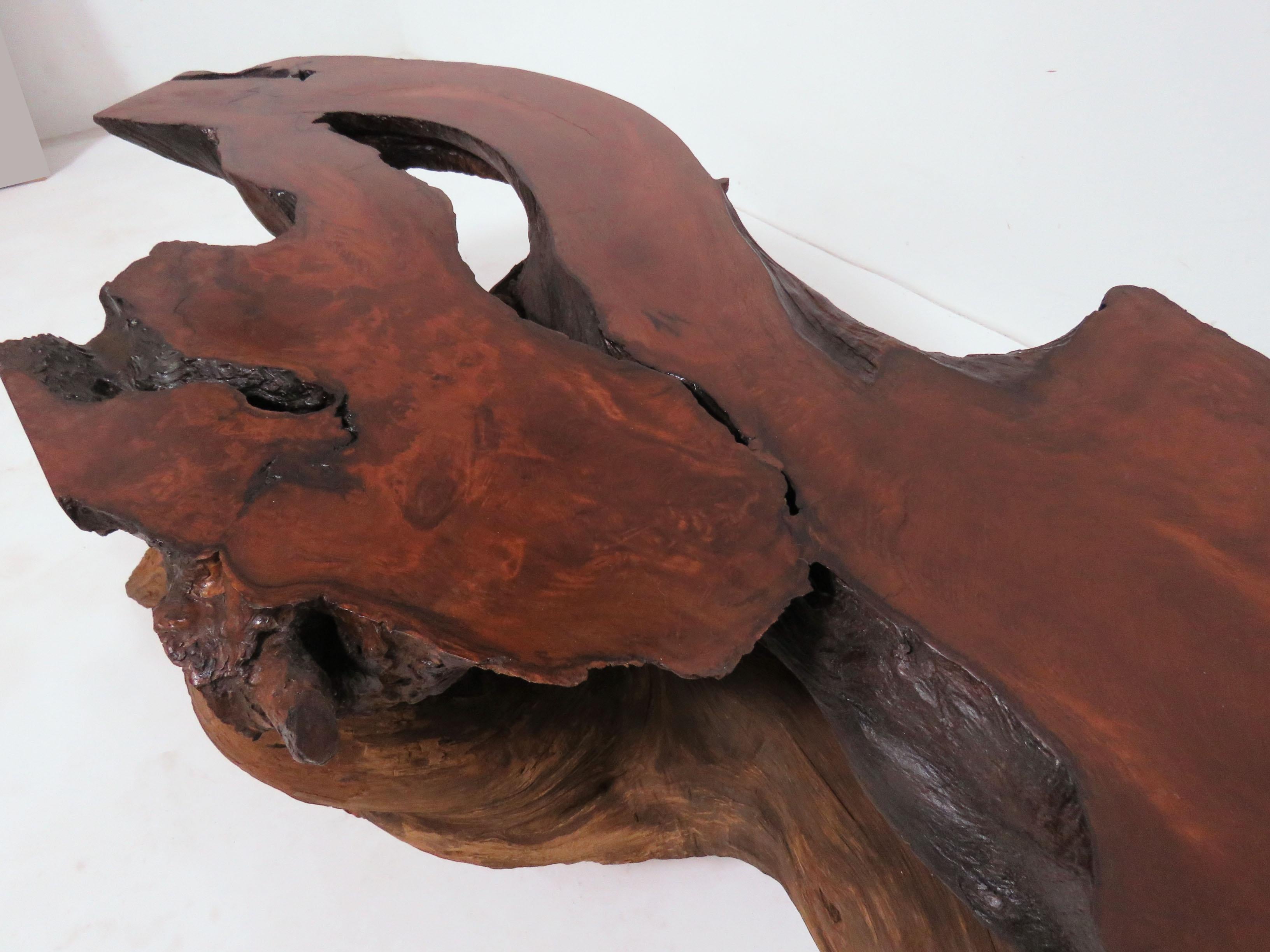 Mid-Century Modern Live Edge Redwood Burl and Driftwood Coffee Table in Manner of Daryl Stokes