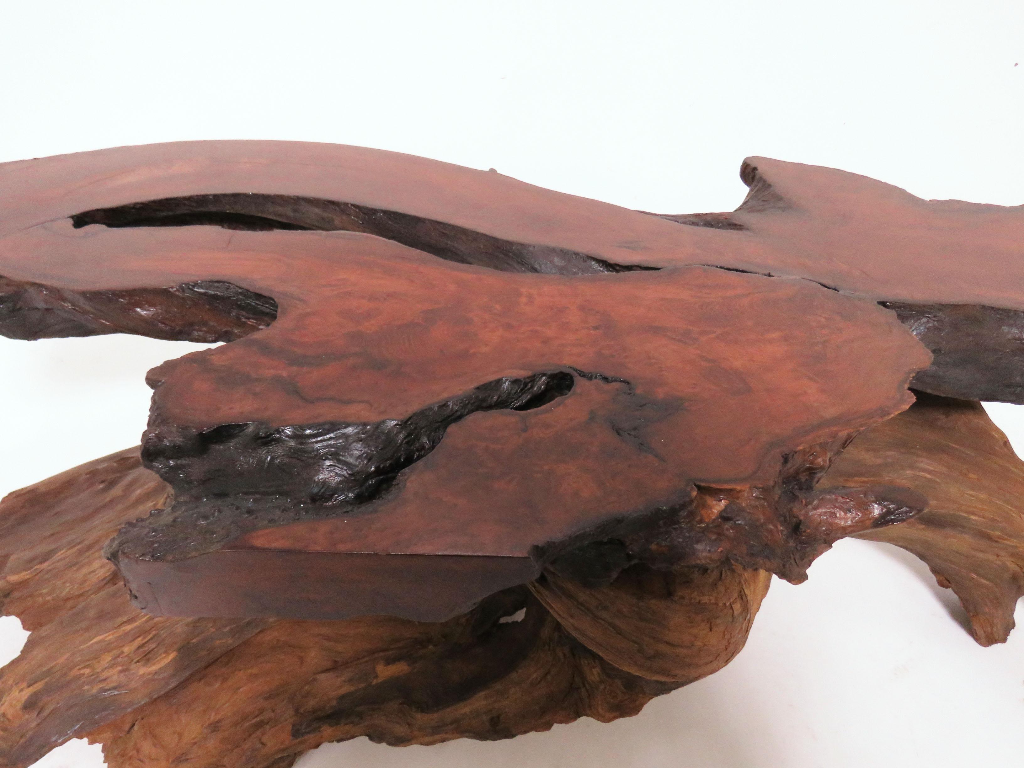 American Live Edge Redwood Burl and Driftwood Coffee Table in Manner of Daryl Stokes