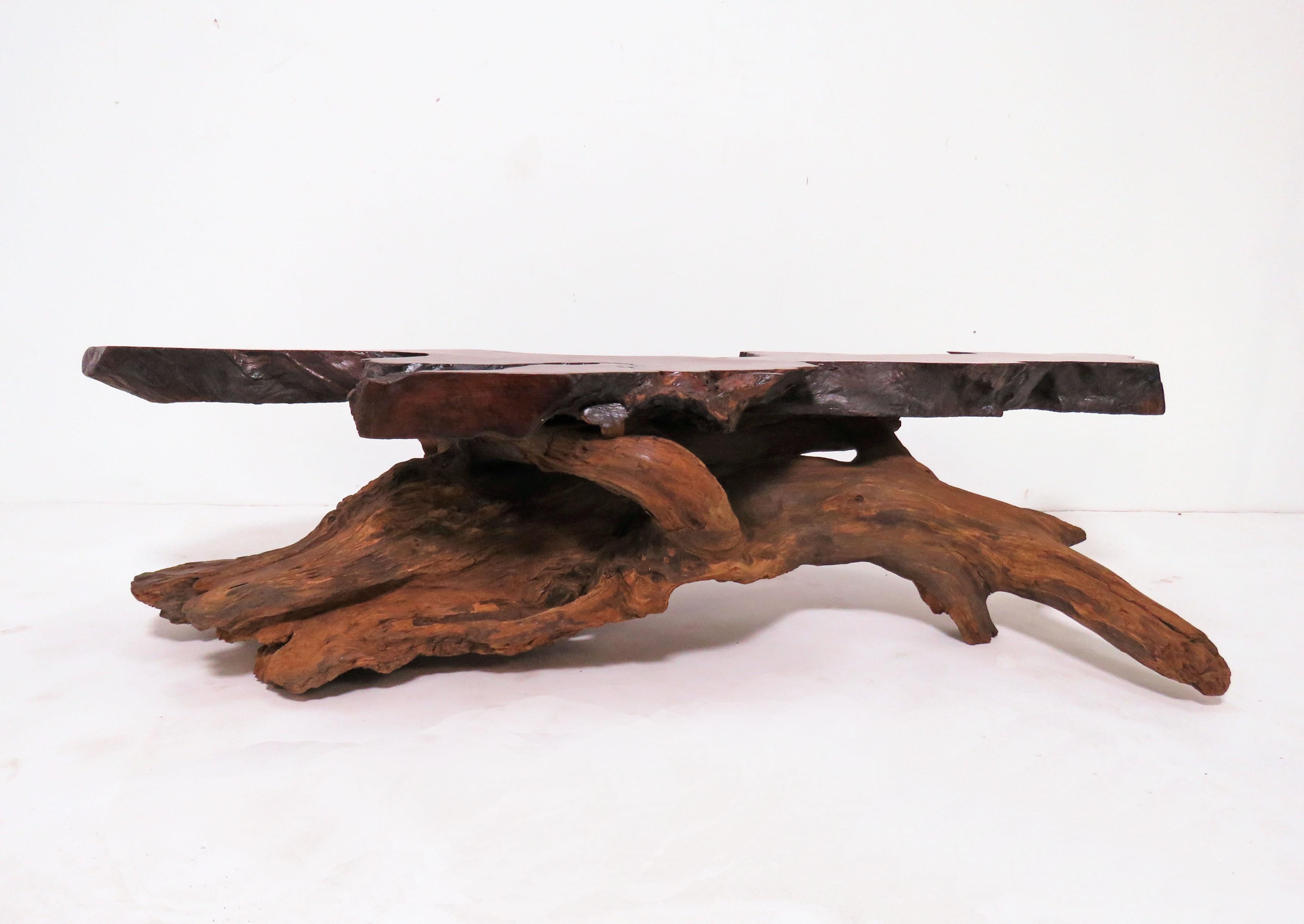 Wood Live Edge Redwood Burl and Driftwood Coffee Table in Manner of Daryl Stokes