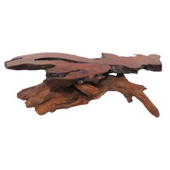 Live Edge Redwood Burl and Driftwood Coffee Table in Manner of Daryl Stokes