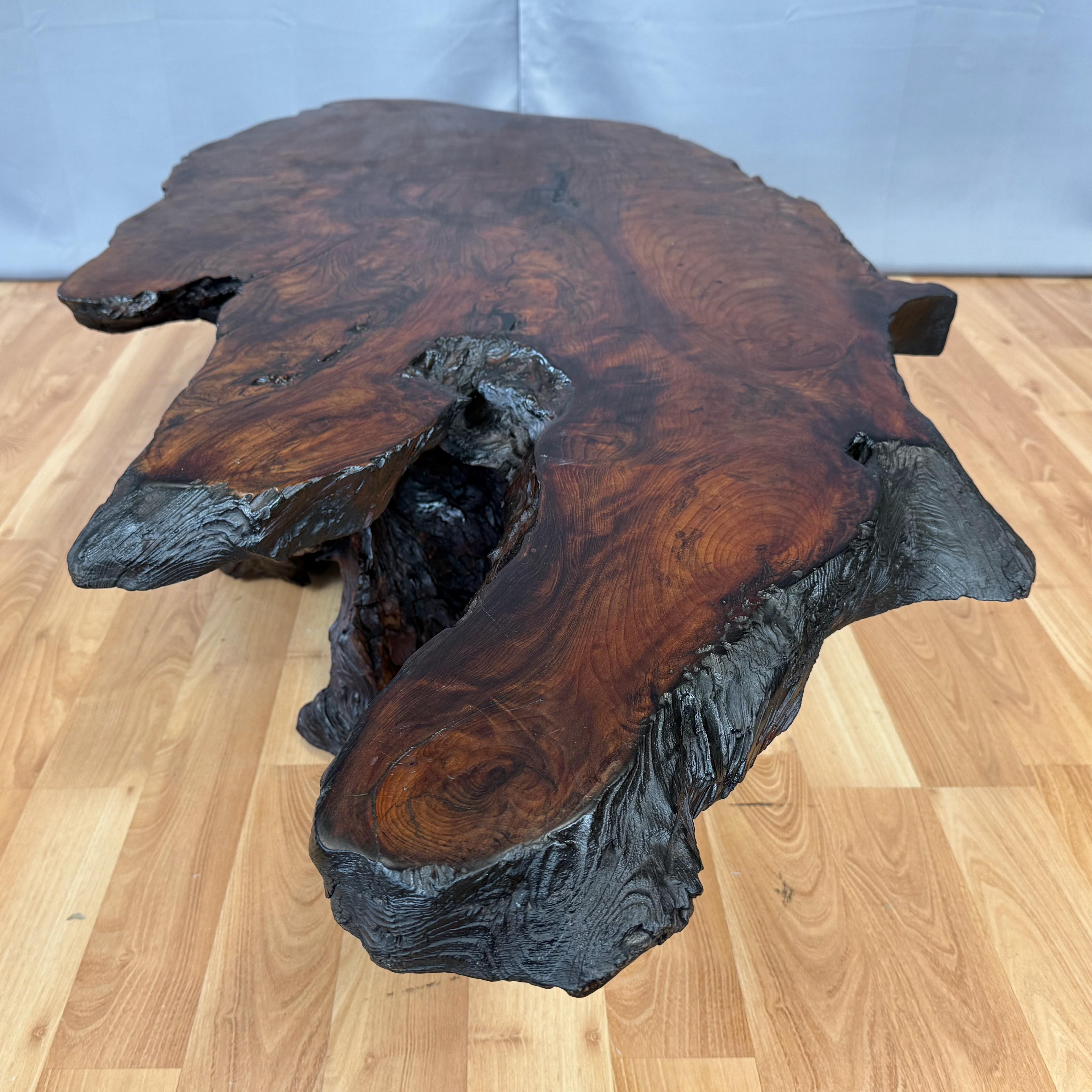 Vintage Live Edge Redwood Burl Slab and Root Coffee Table, c. 1970 5