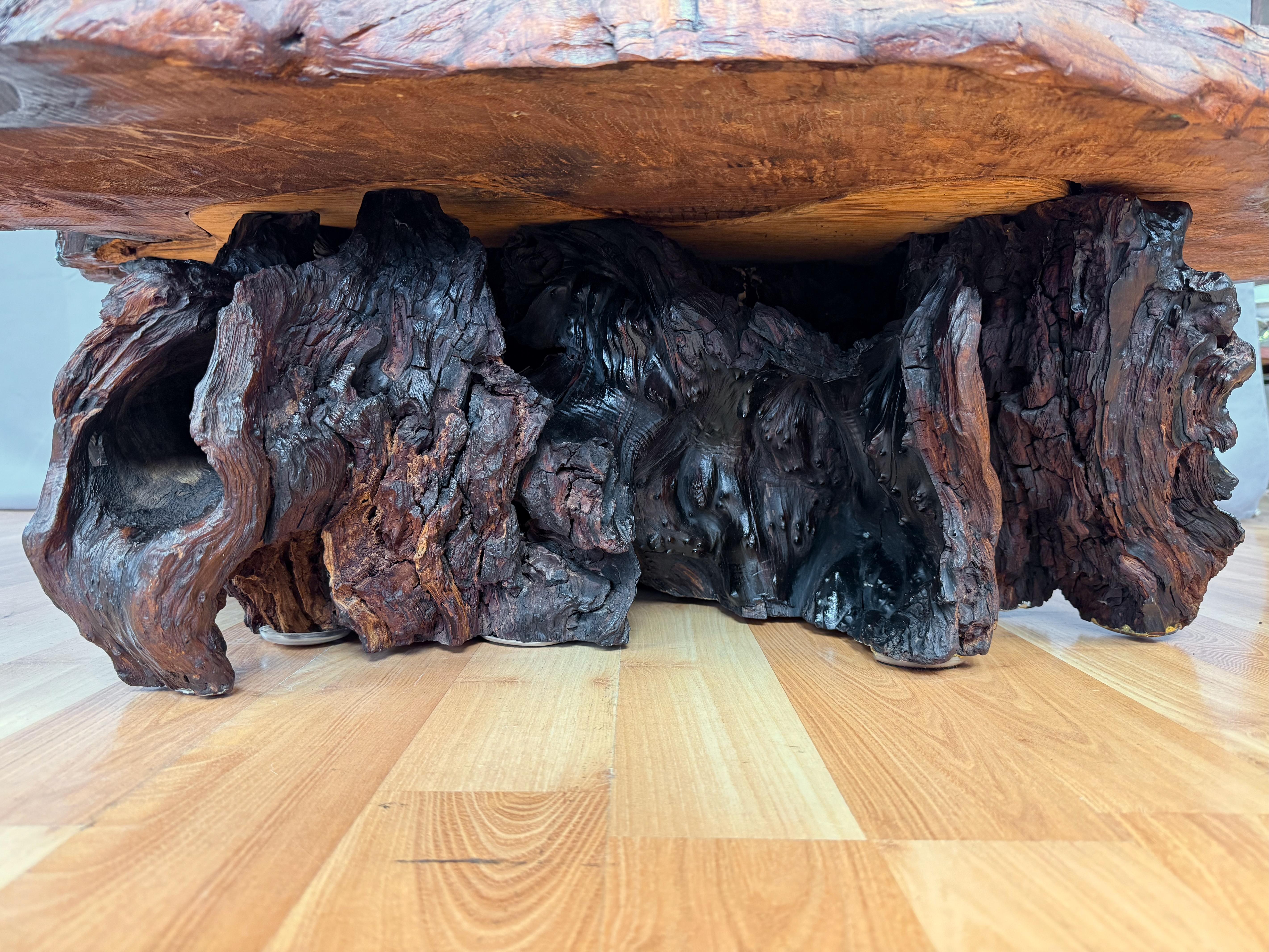 Vintage Live Edge Redwood Burl Slab and Root Coffee Table, c. 1970 10