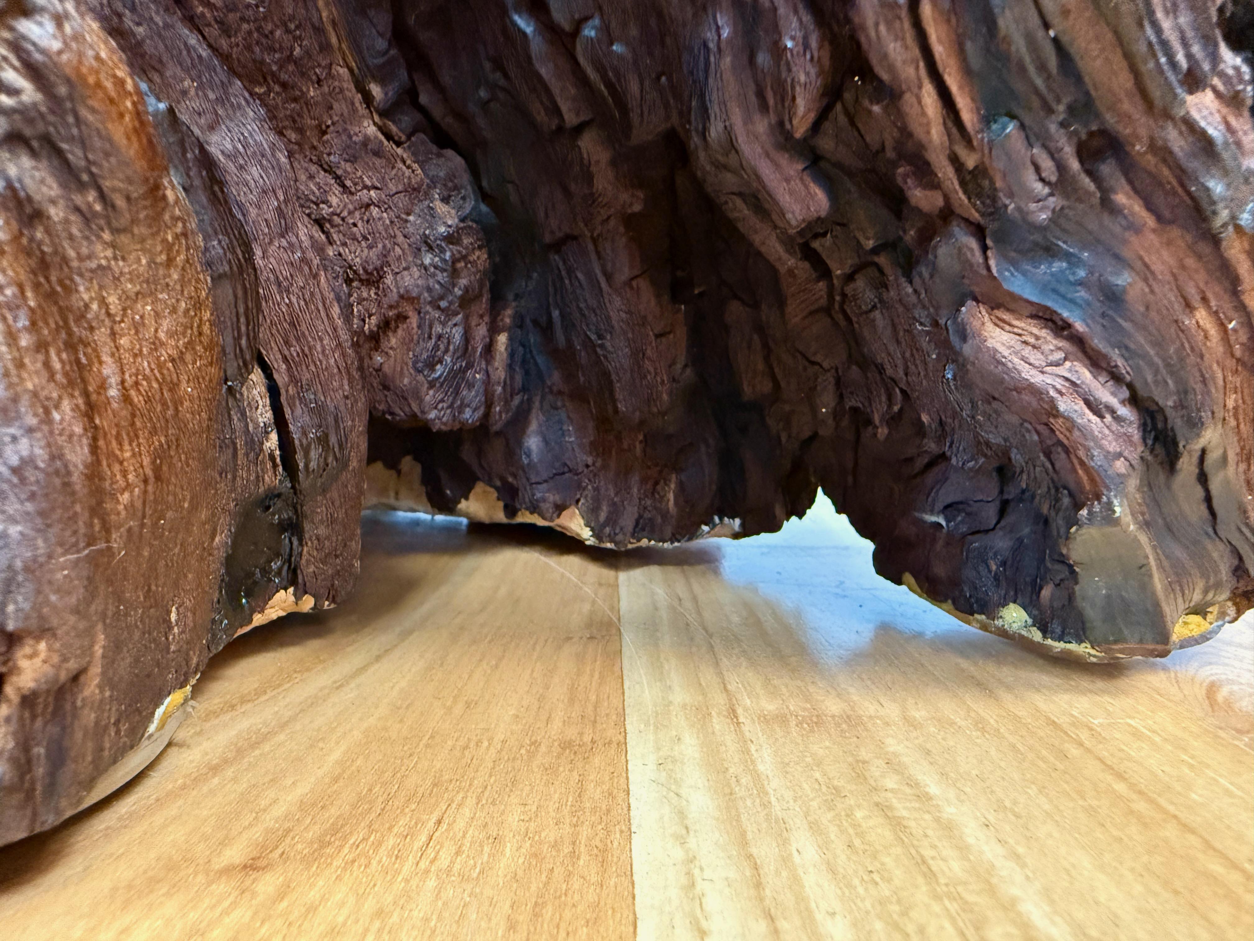 Vintage Live Edge Redwood Burl Slab and Root Coffee Table, c. 1970 11