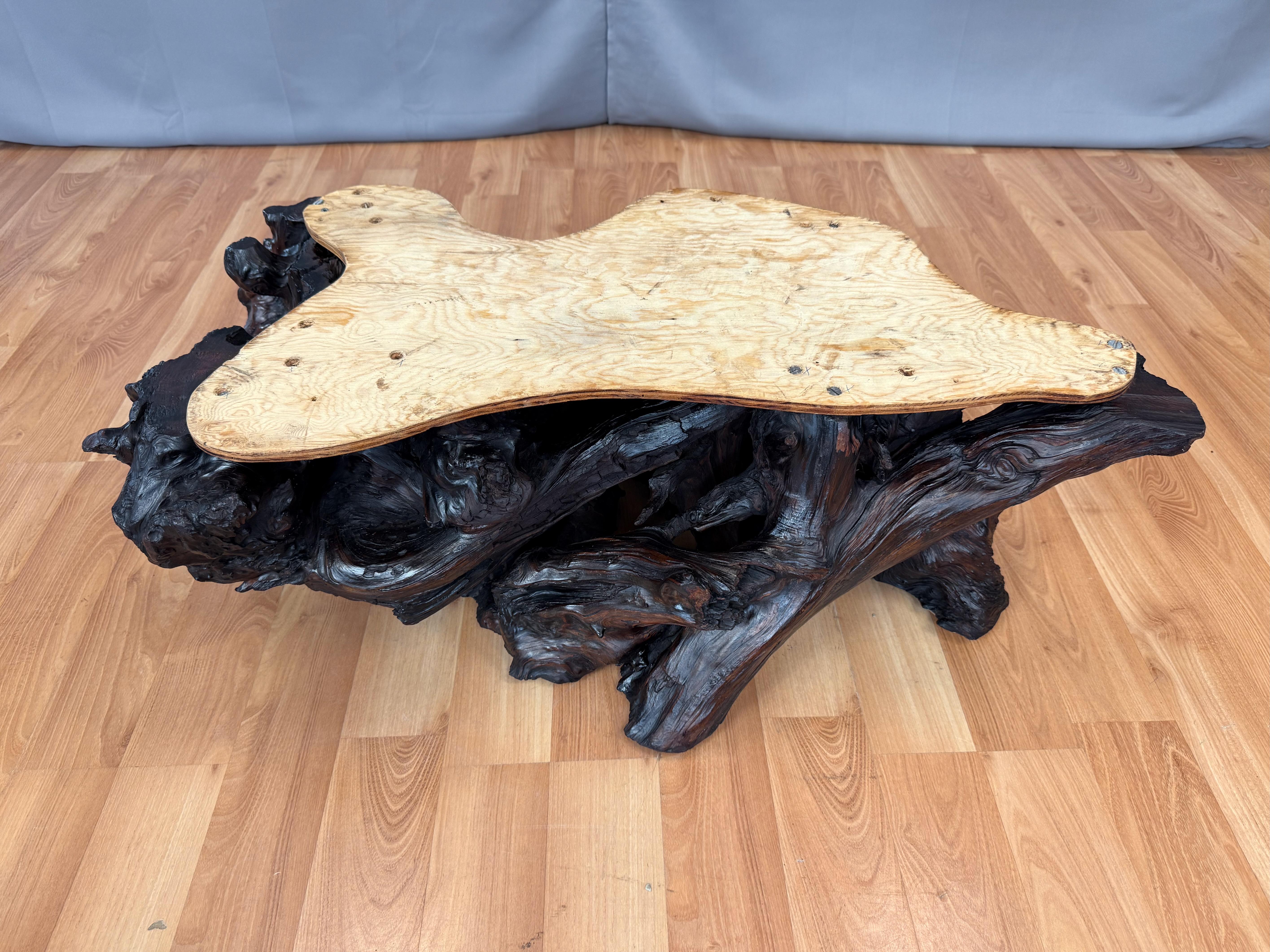 Vintage Live Edge Redwood Burl Slab and Root Coffee Table, c. 1970 12