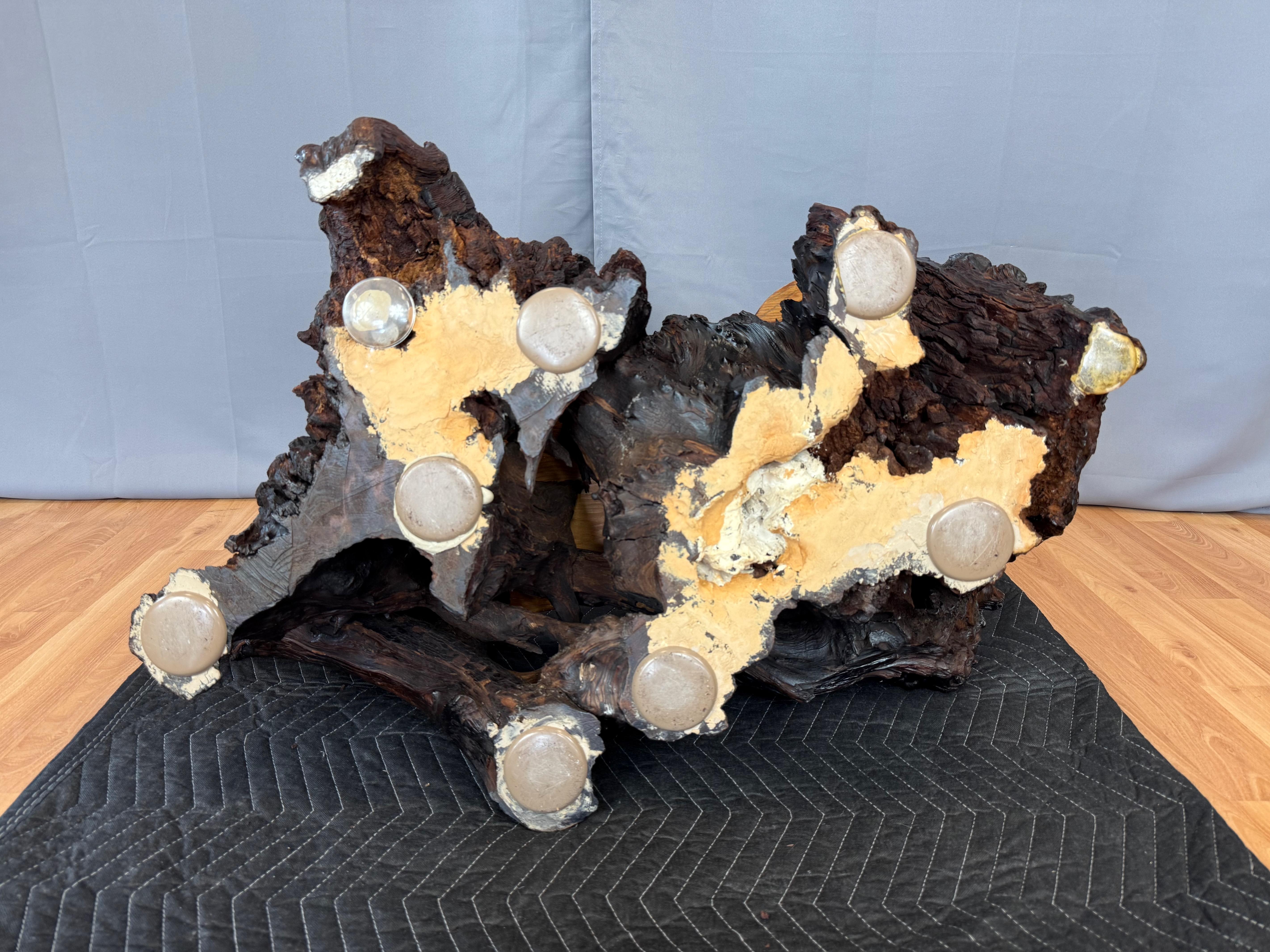 Vintage Live Edge Redwood Burl Slab and Root Coffee Table, c. 1970 13