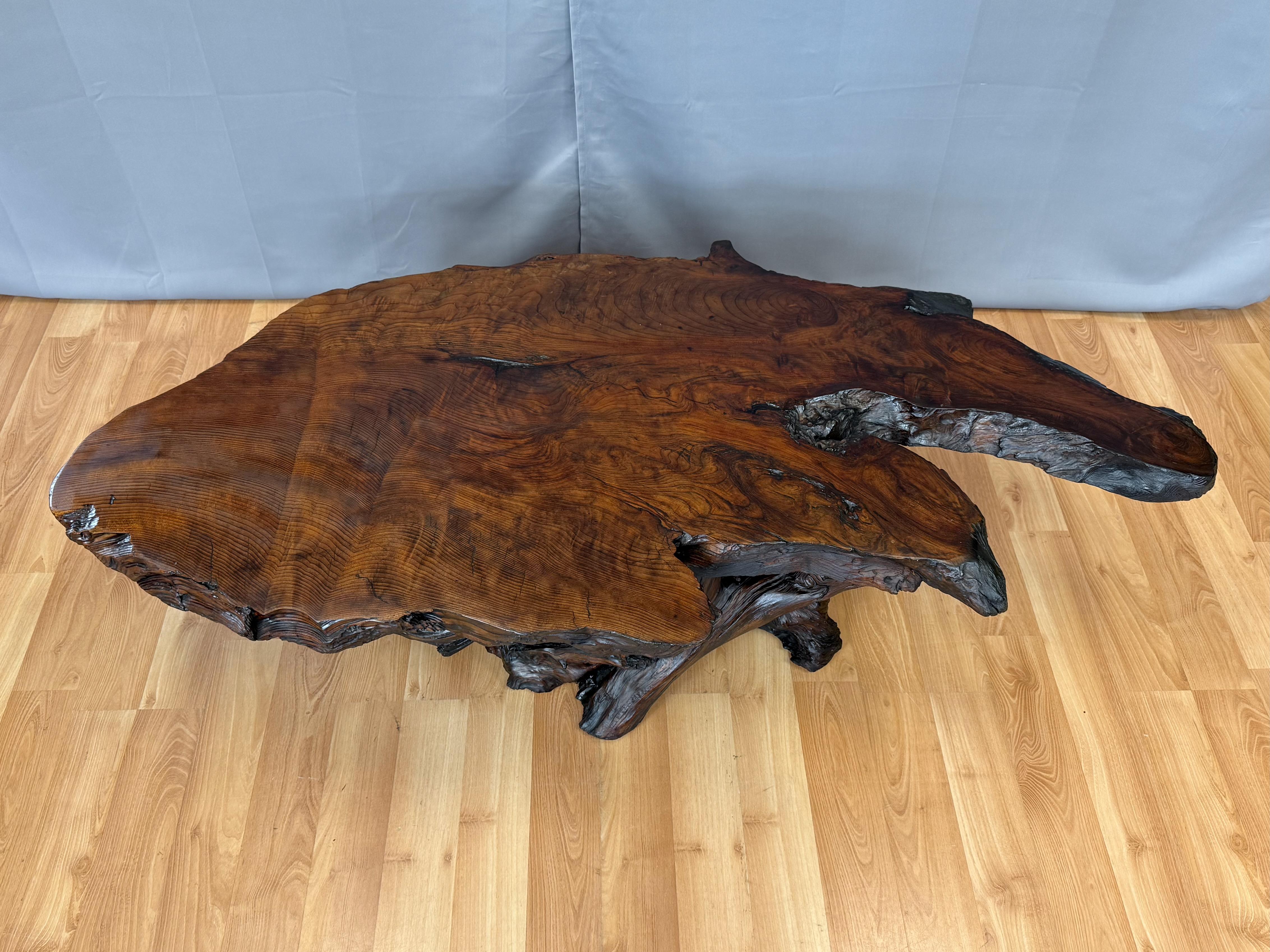 Rustic Vintage Live Edge Redwood Burl Slab and Root Coffee Table, c. 1970