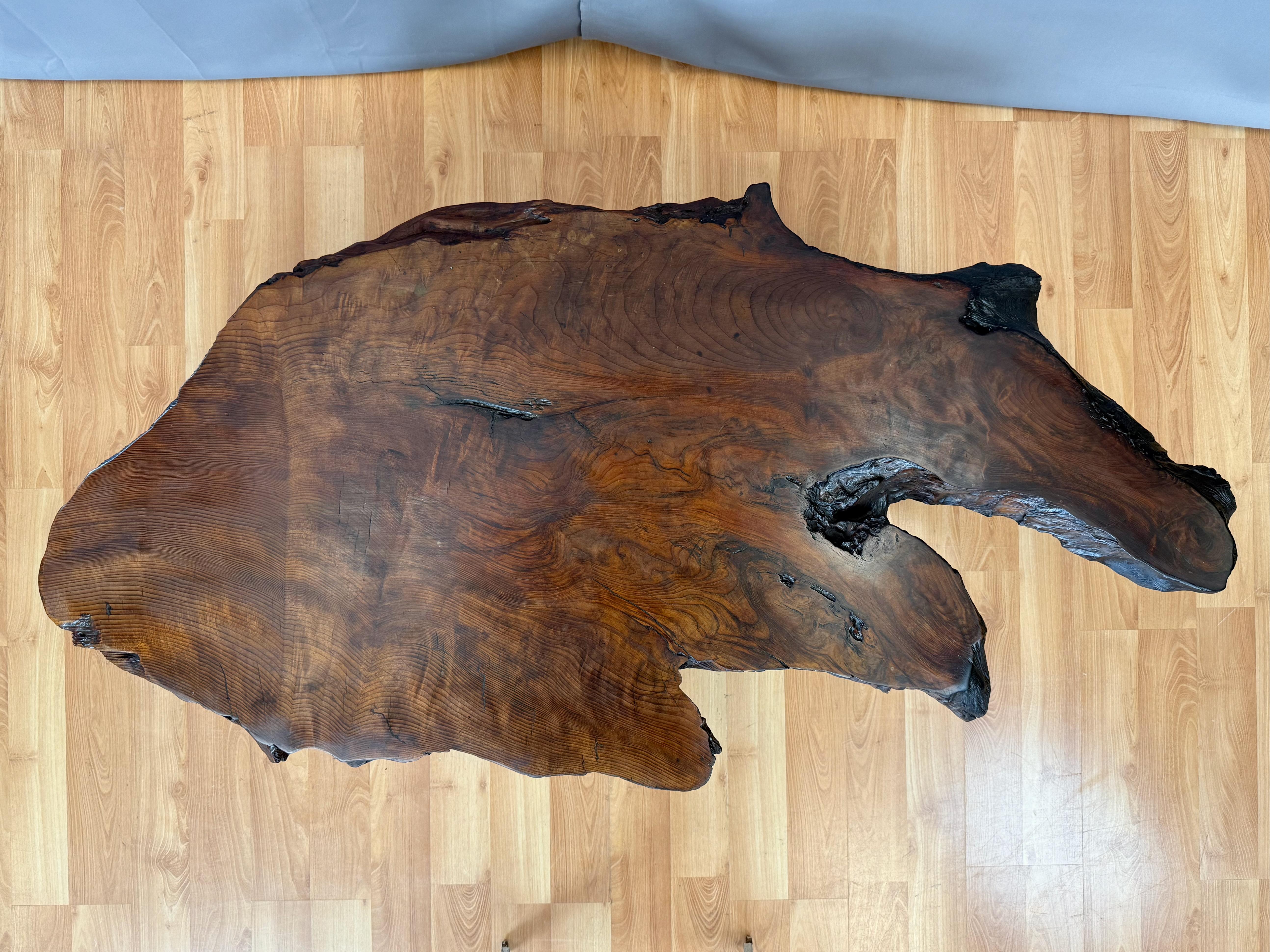 Hand-Crafted Vintage Live Edge Redwood Burl Slab and Root Coffee Table, c. 1970