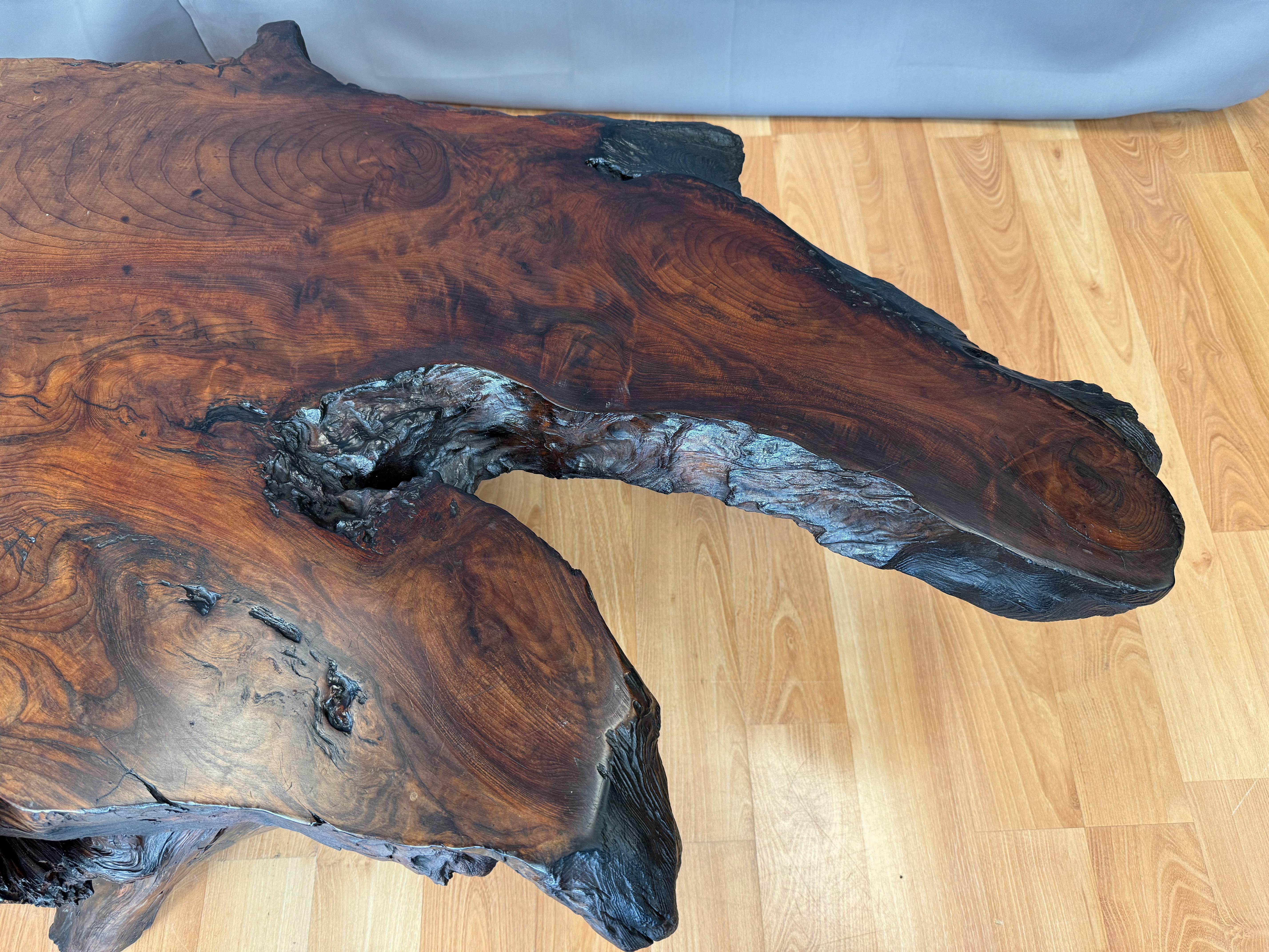 Vintage Live Edge Redwood Burl Slab and Root Coffee Table, c. 1970 2