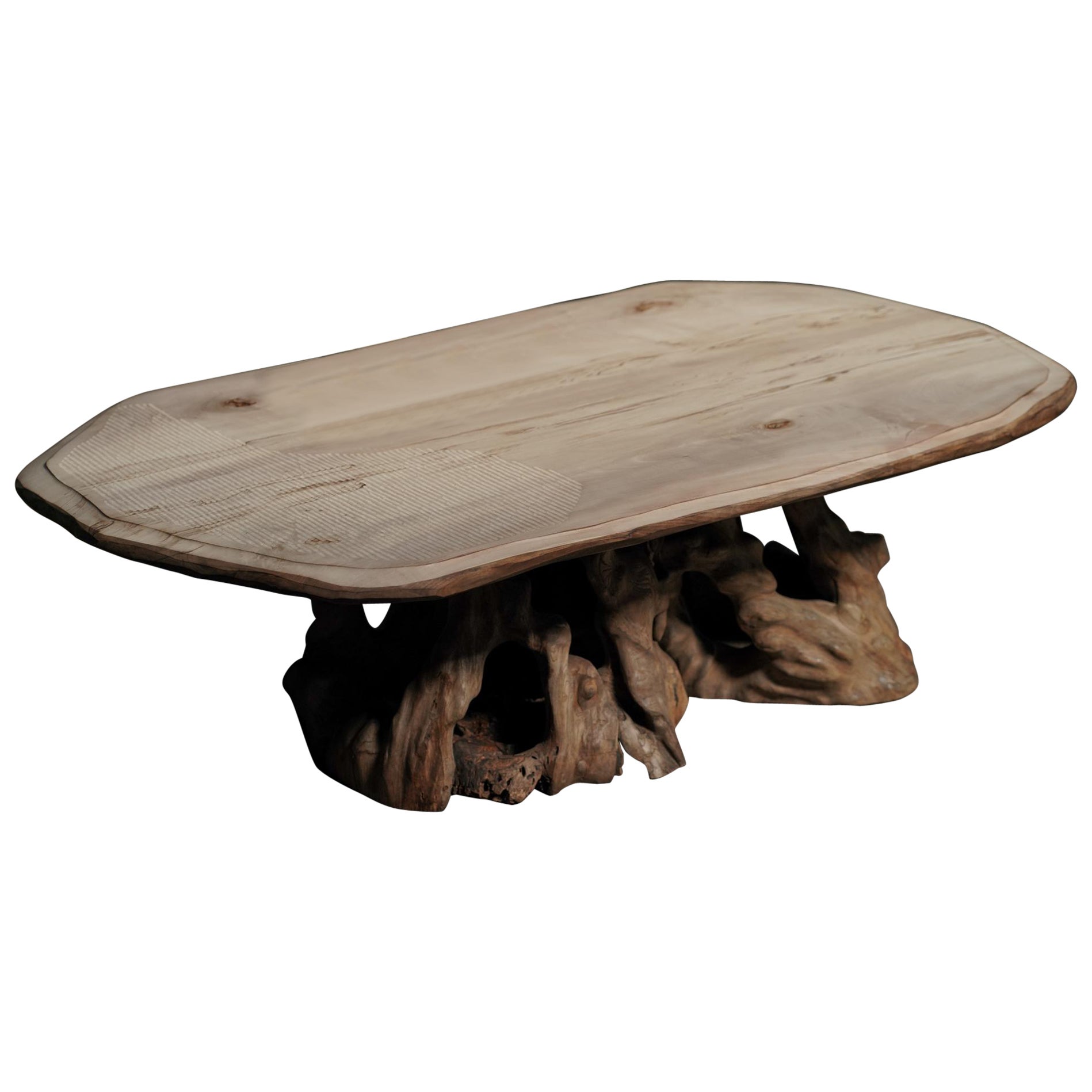 Live Edge Root Coffee Table with Organic Wood Slab Top