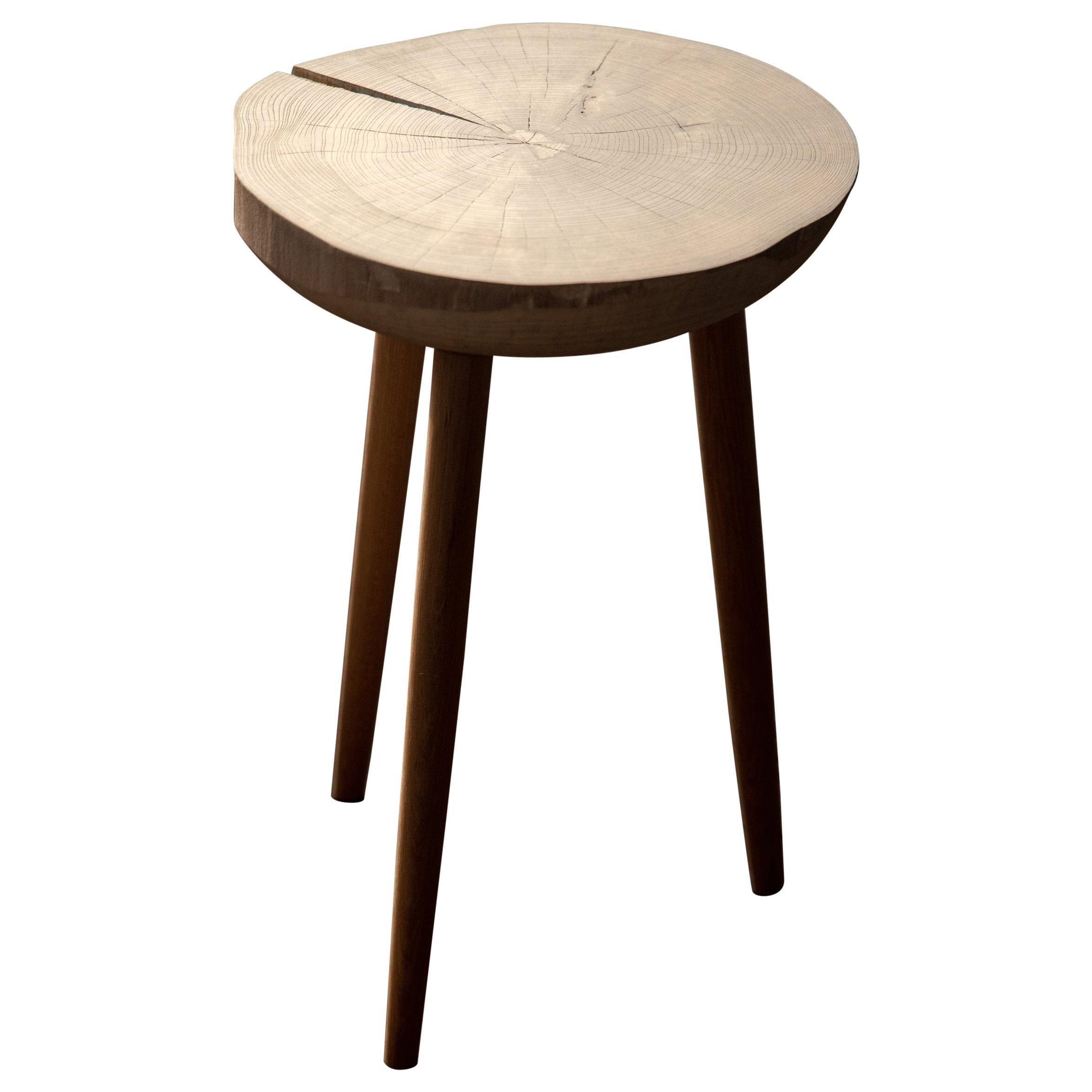 Live Edge Round Side Table in White Driftwood Finish Fossil Table For Sale