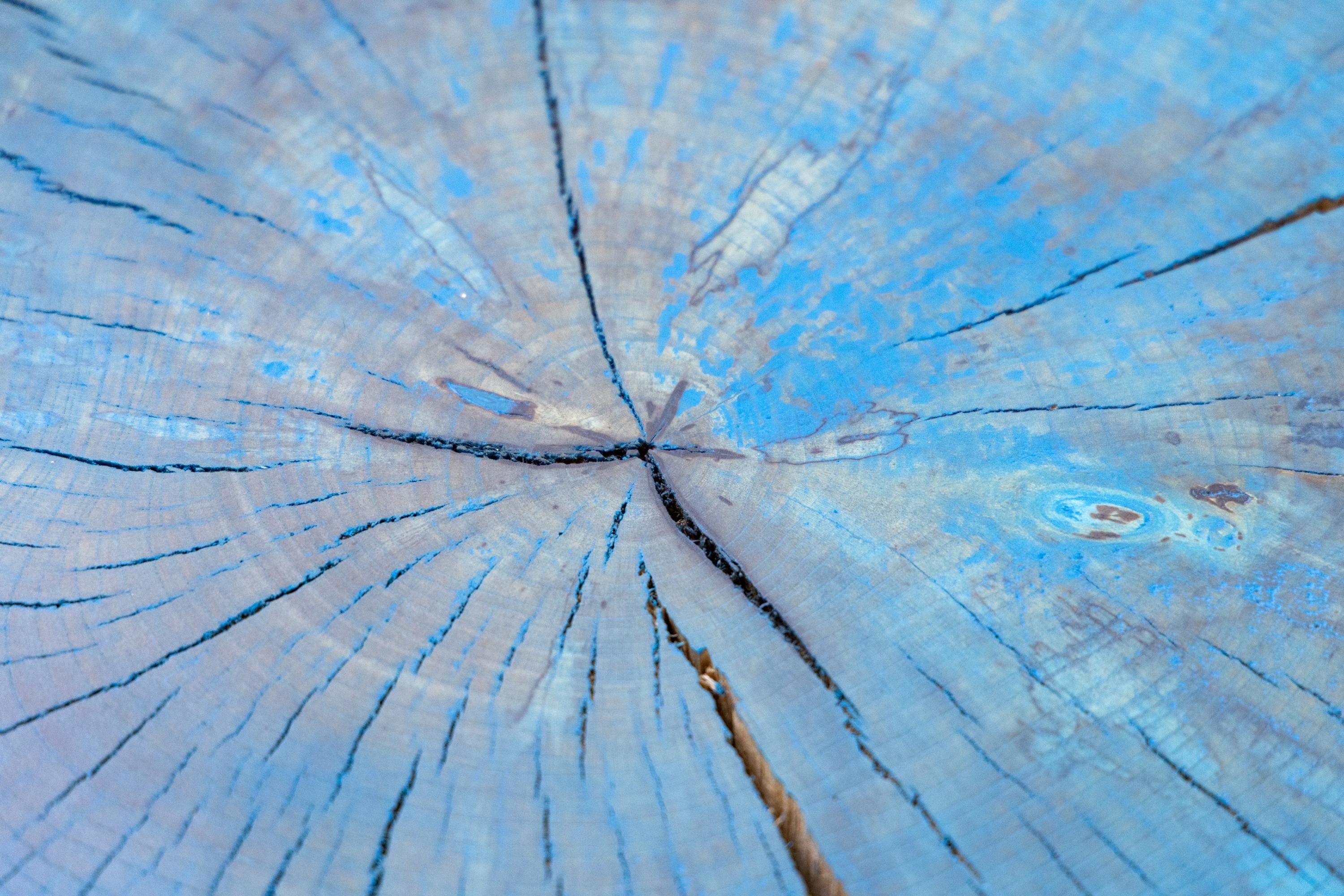 Contemporary Live Edge Round Side Table, Modern Organic Blue Sputnik Table For Sale