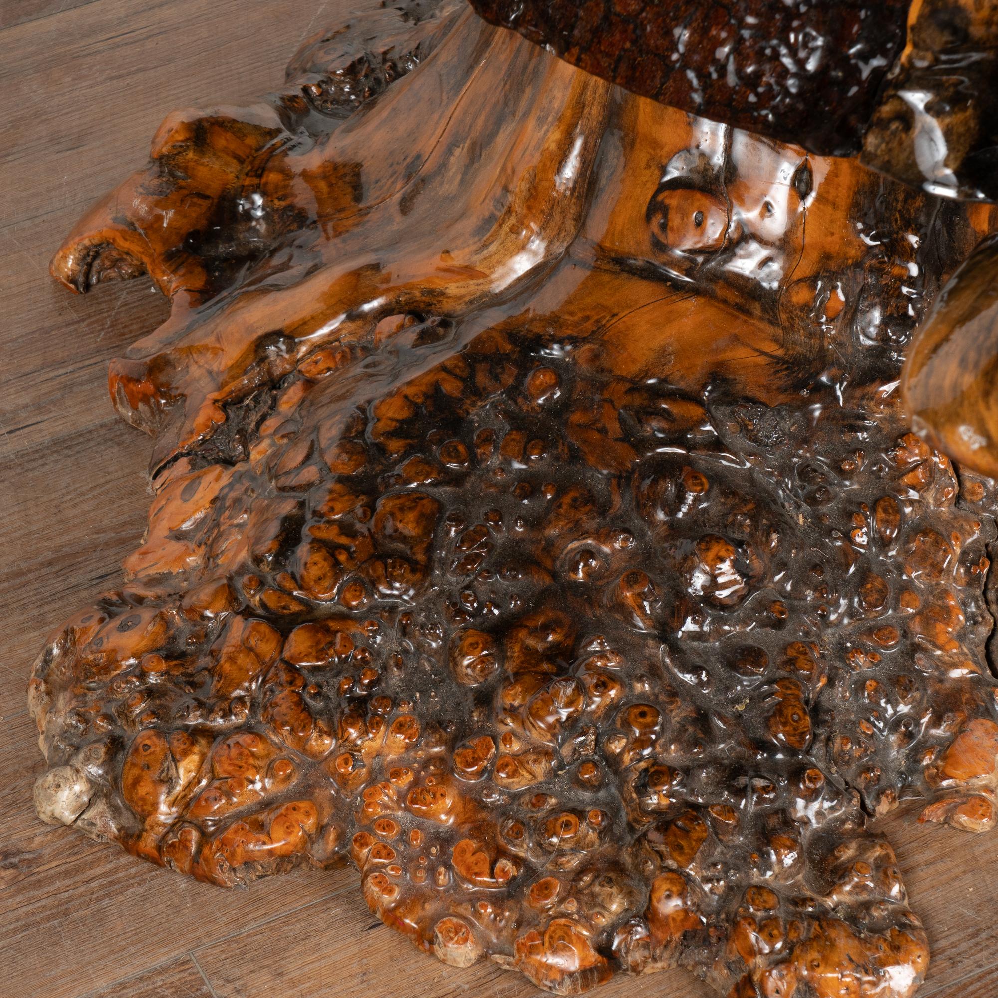 Live Edge Single Slab Coffee Table, circa 1980 4