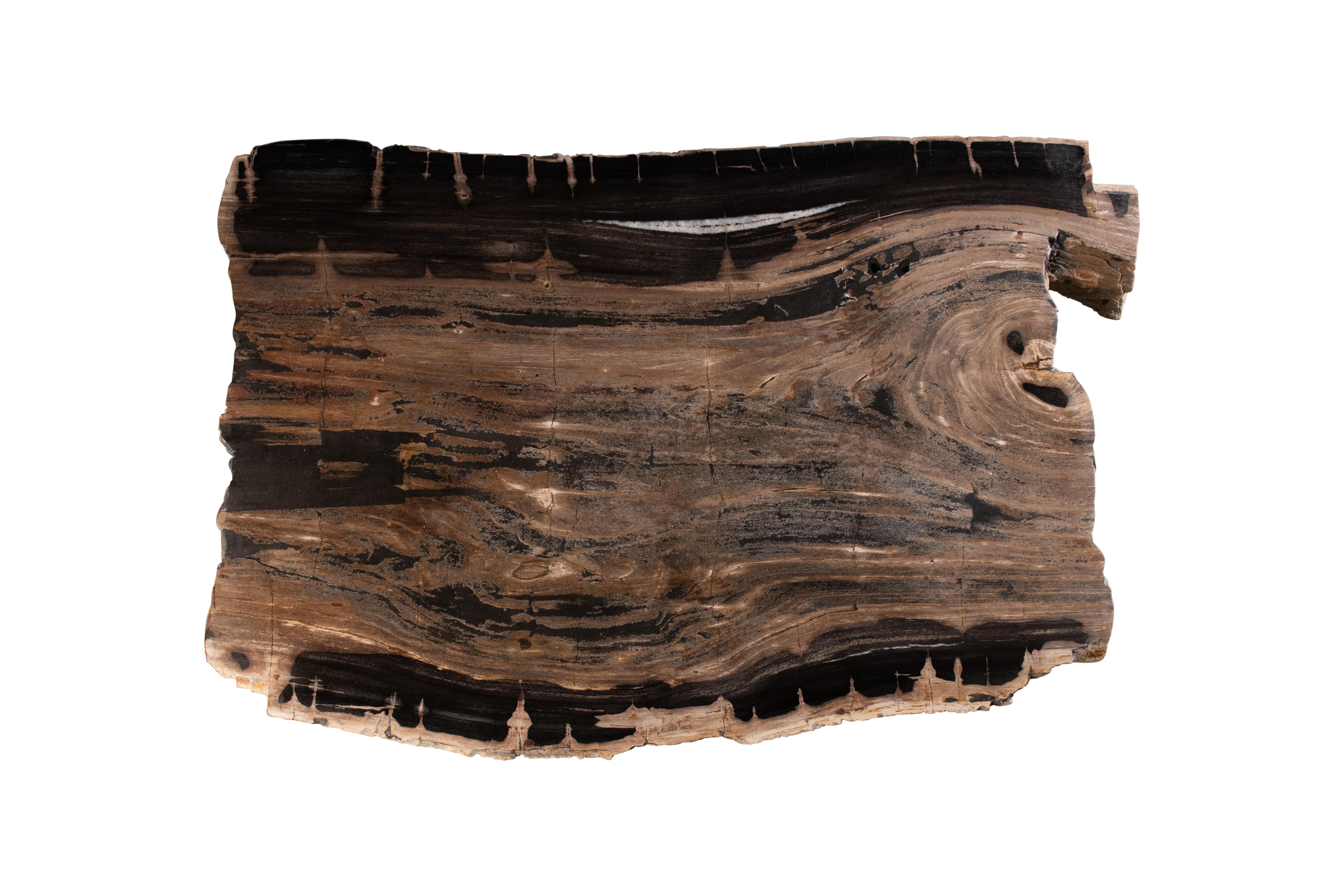 The petrified wood tabletop is sculpted from fossilised wood, each one as unique as the tree that it was originally carved from. Nature designs and dictates scale, encapsulating the organic nature of each piece. Cracks and shade variations as well