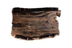 Einreihiger Tisch aus versteinertem Holz mit natürlicher Kante und Sockel