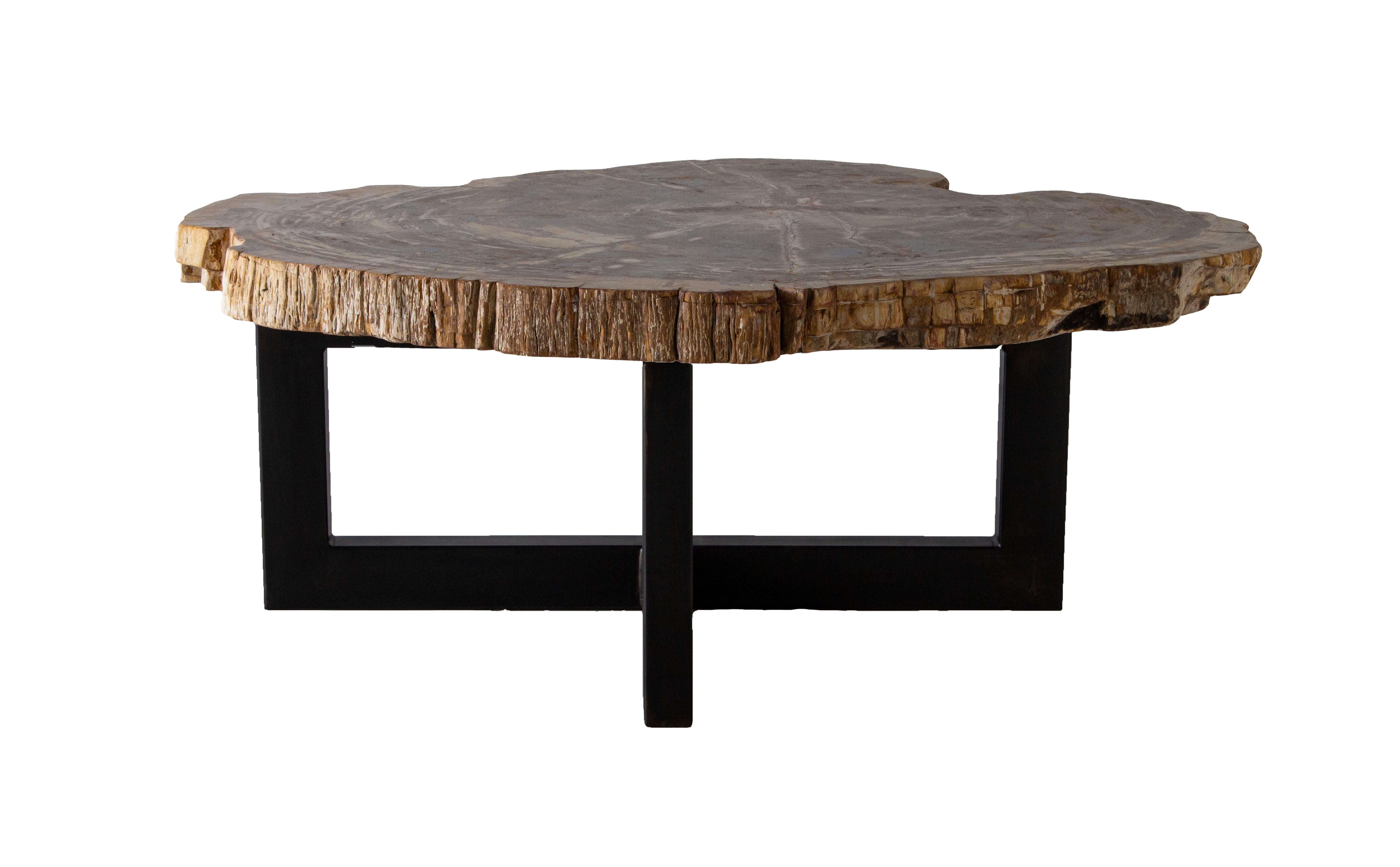 Top: Live edge slice of petrified wood
Base: Polished steel, black finish

One of a kind live edge coffee table.
  