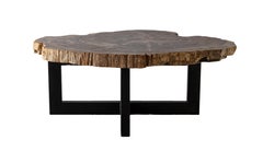 Live Edge Stone Slice Top Coffee Table with Steel Base