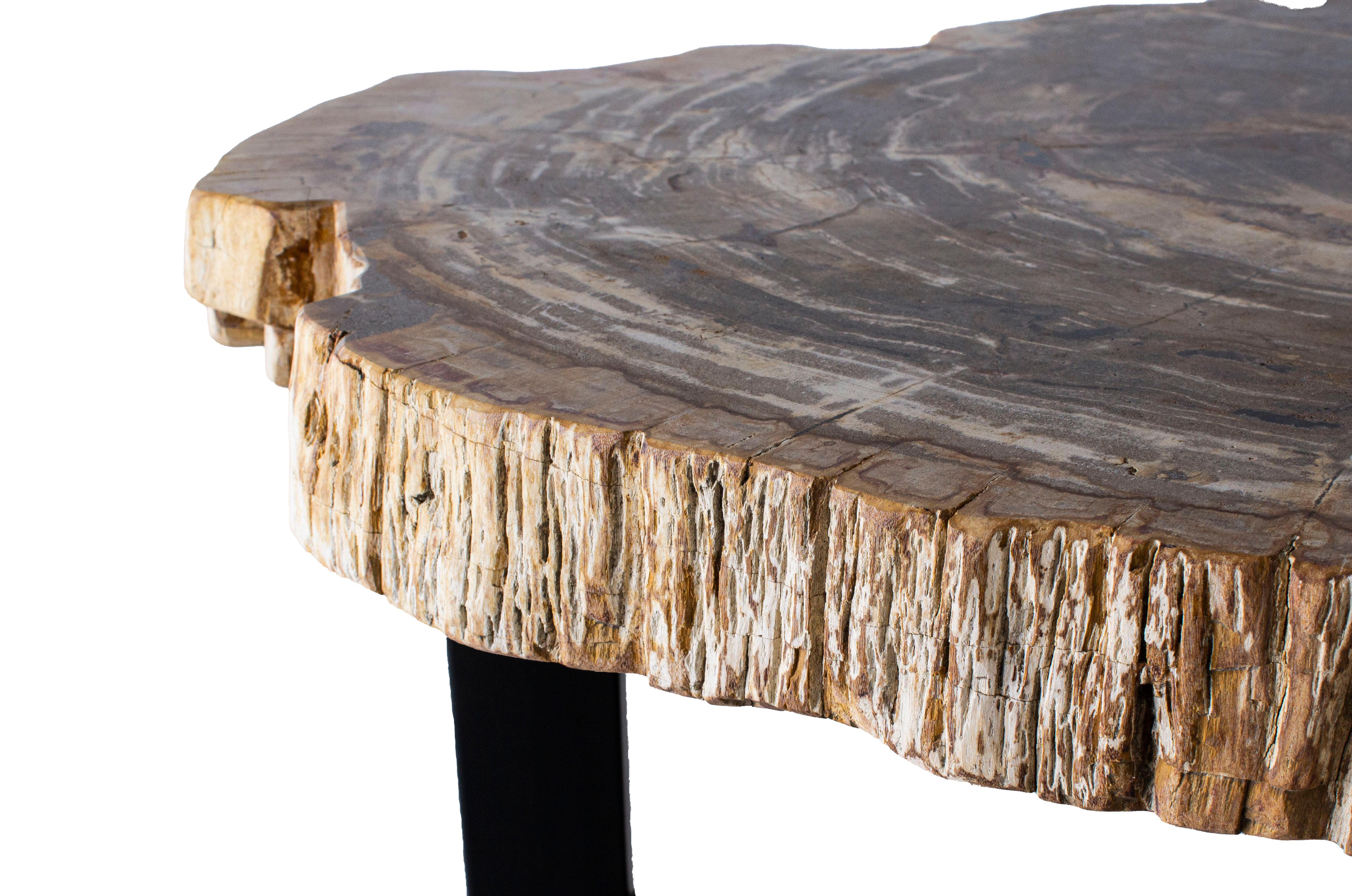 Organic Modern Live Edge Stone Slice Top Coffee Table with Steel Base