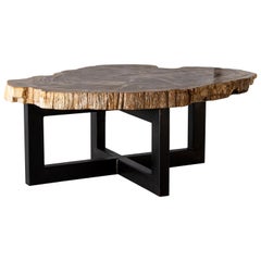 Live Edge Stone Slice Top Coffee Table with Steel Base
