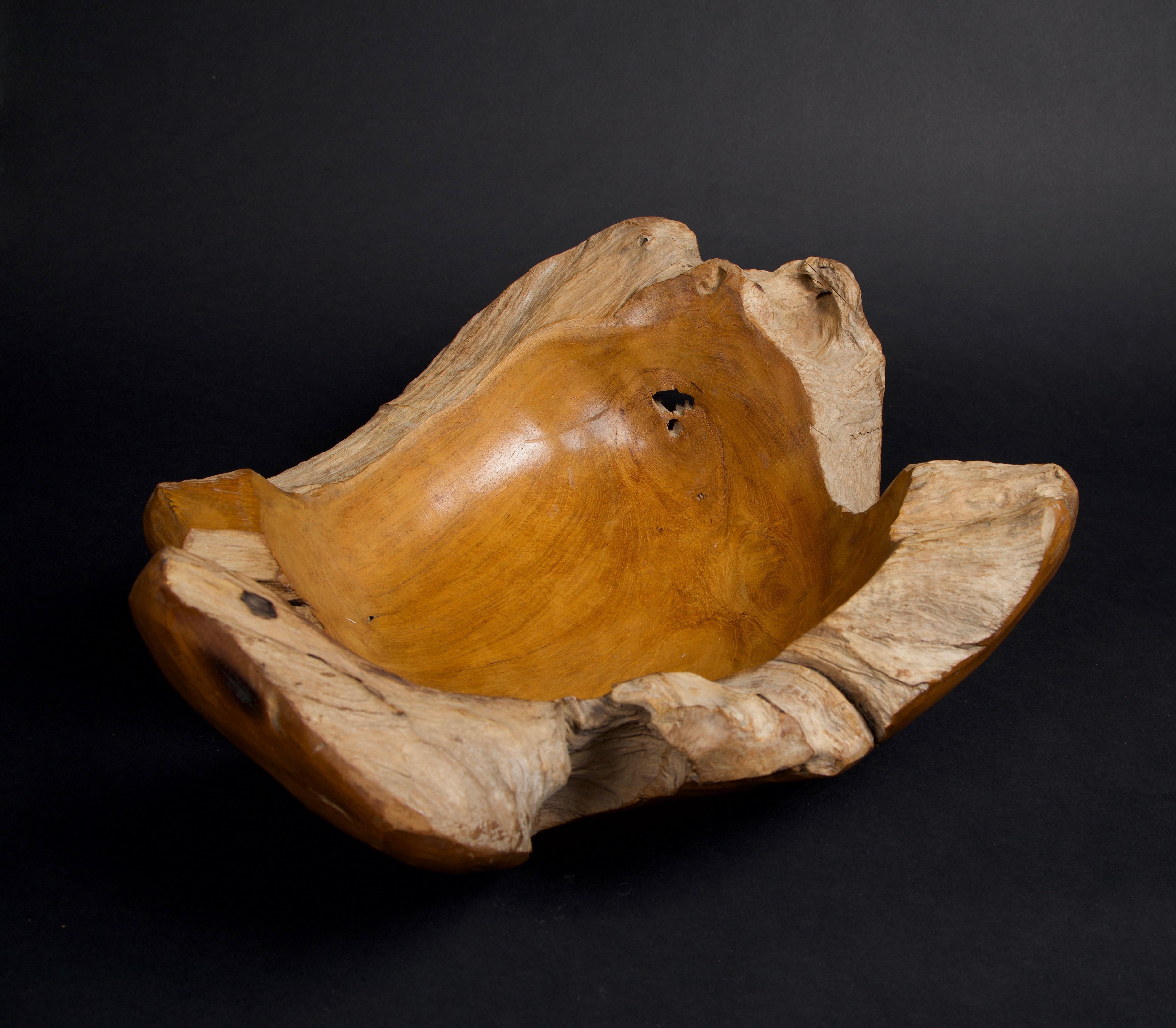 Organic Modern Live Edge Teak Wood Bowl