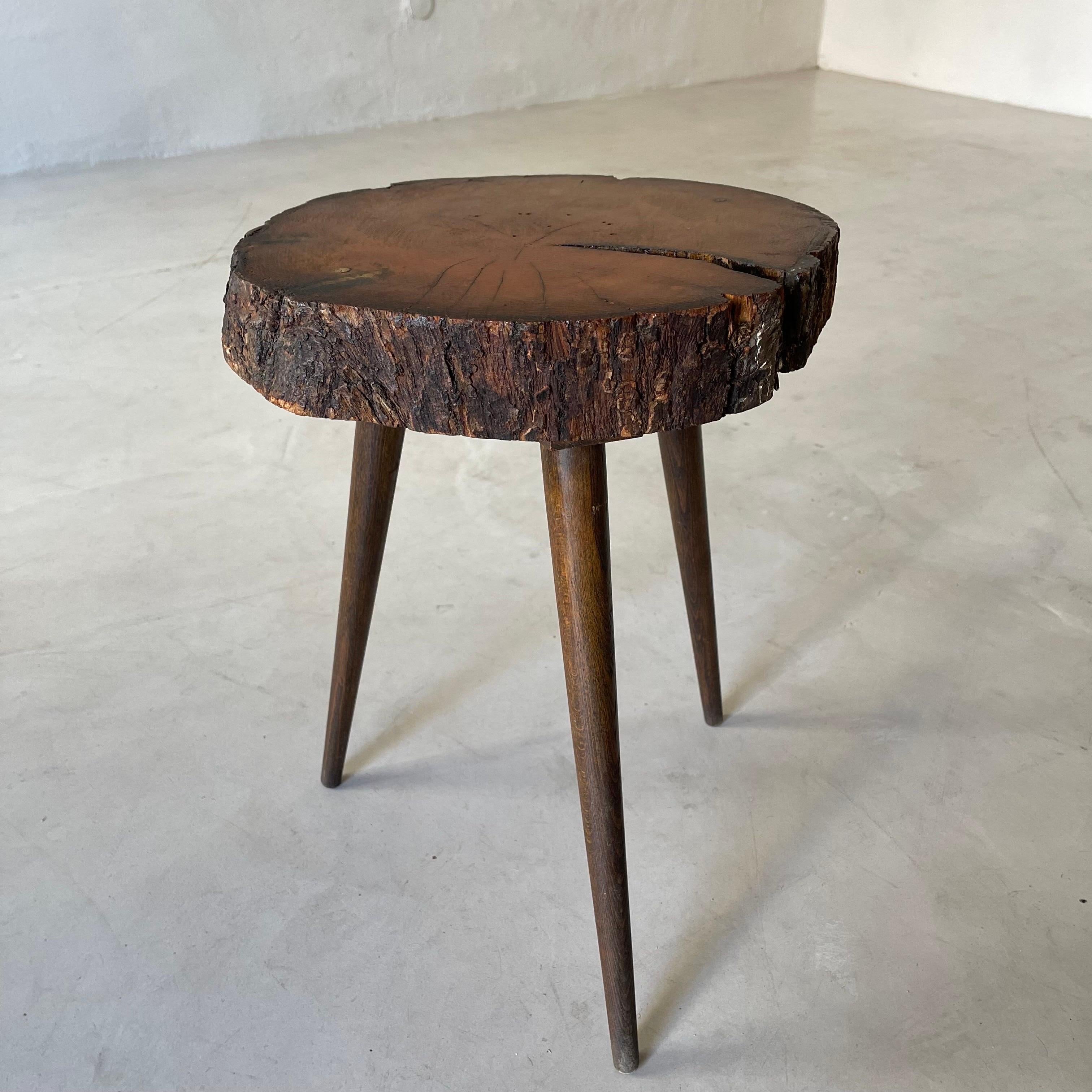 Live Edge Tree Trunk Side Table France, 1950s 2