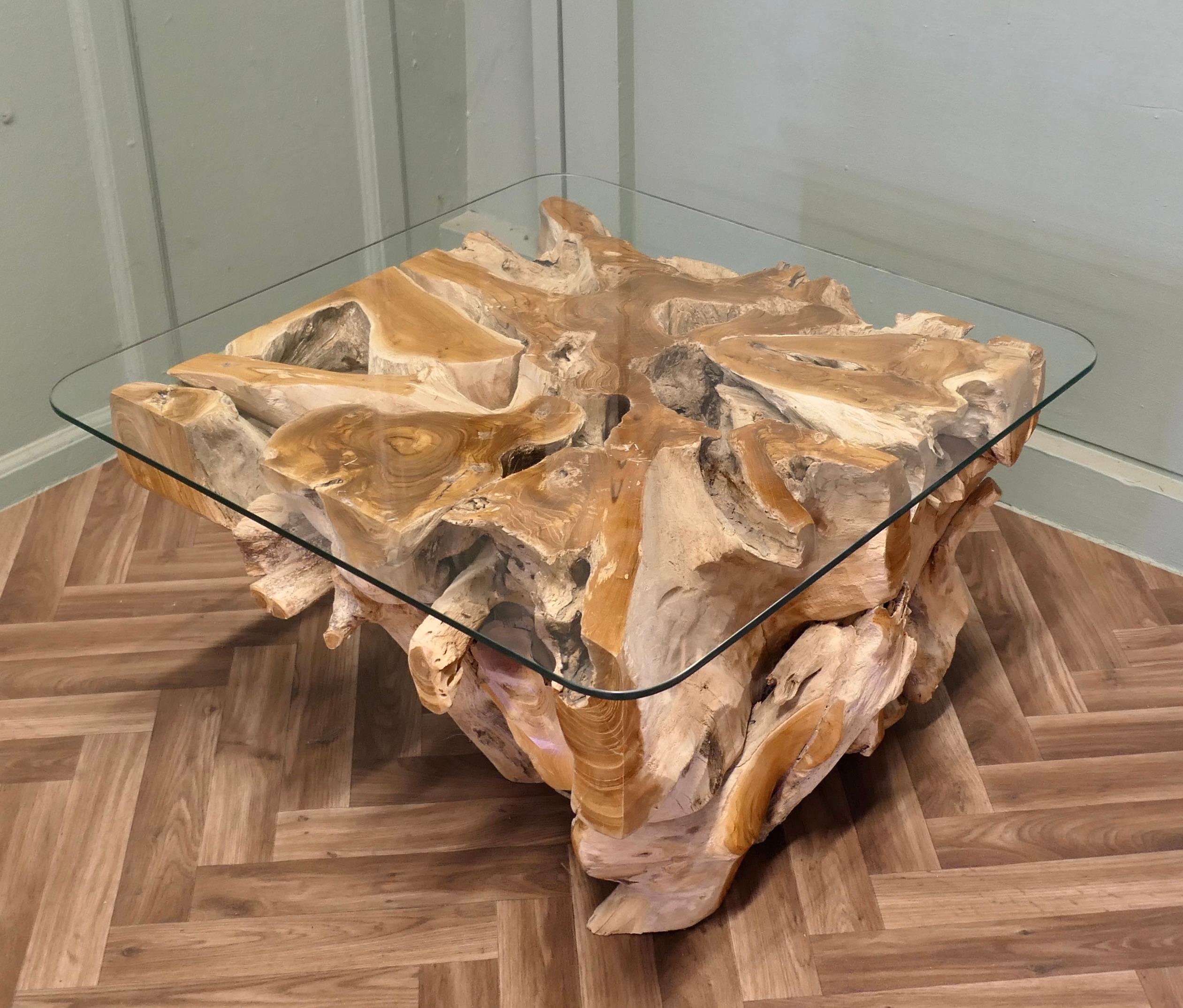 Live Edge Eibenholz Wurzelbaum Couchtisch mit Glasplatte (Moderne der Mitte des Jahrhunderts) im Angebot