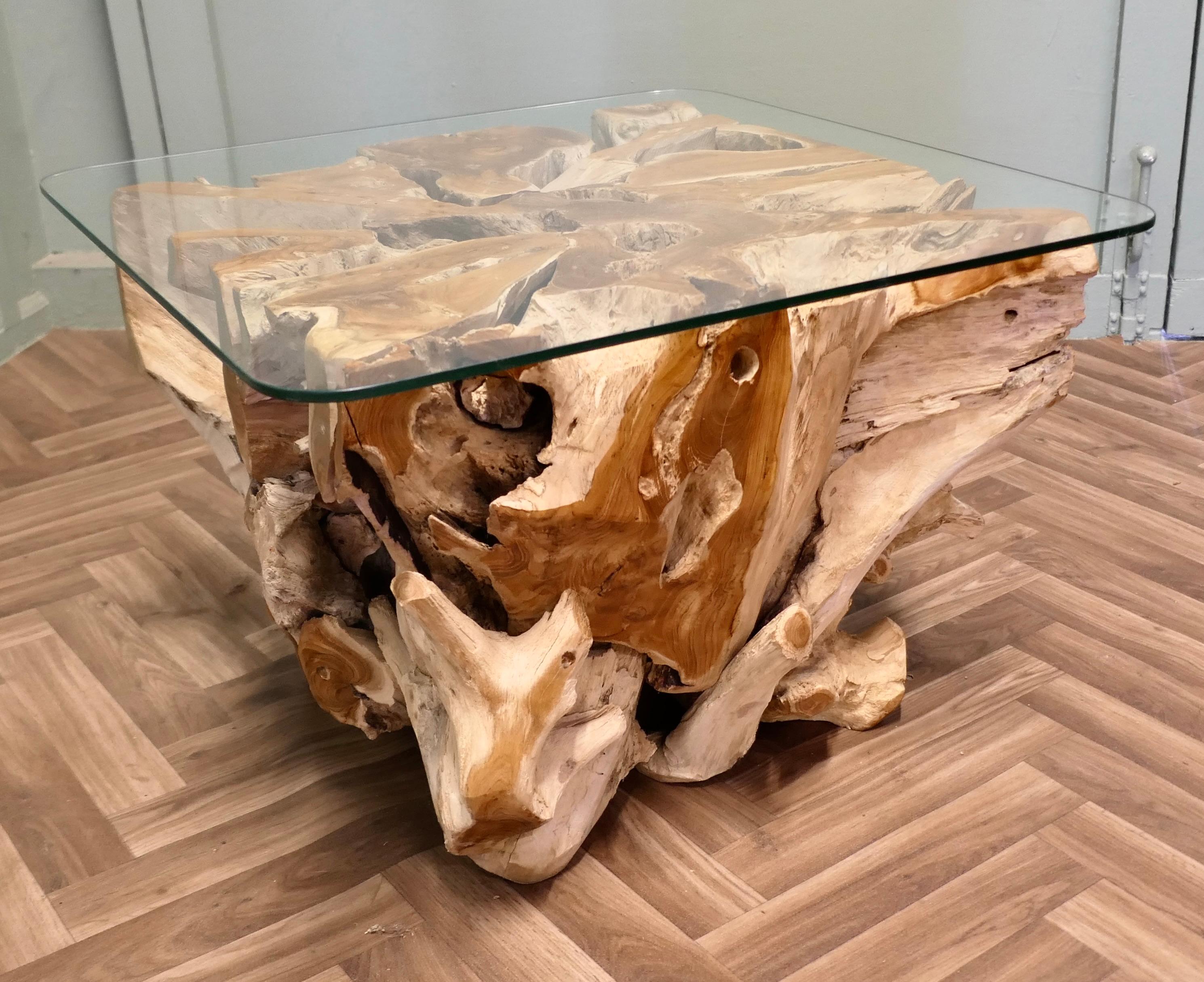 Live Edge Eibenholz Wurzelbaum Couchtisch mit Glasplatte im Zustand „Gut“ im Angebot in Godshill, Isle of Wight