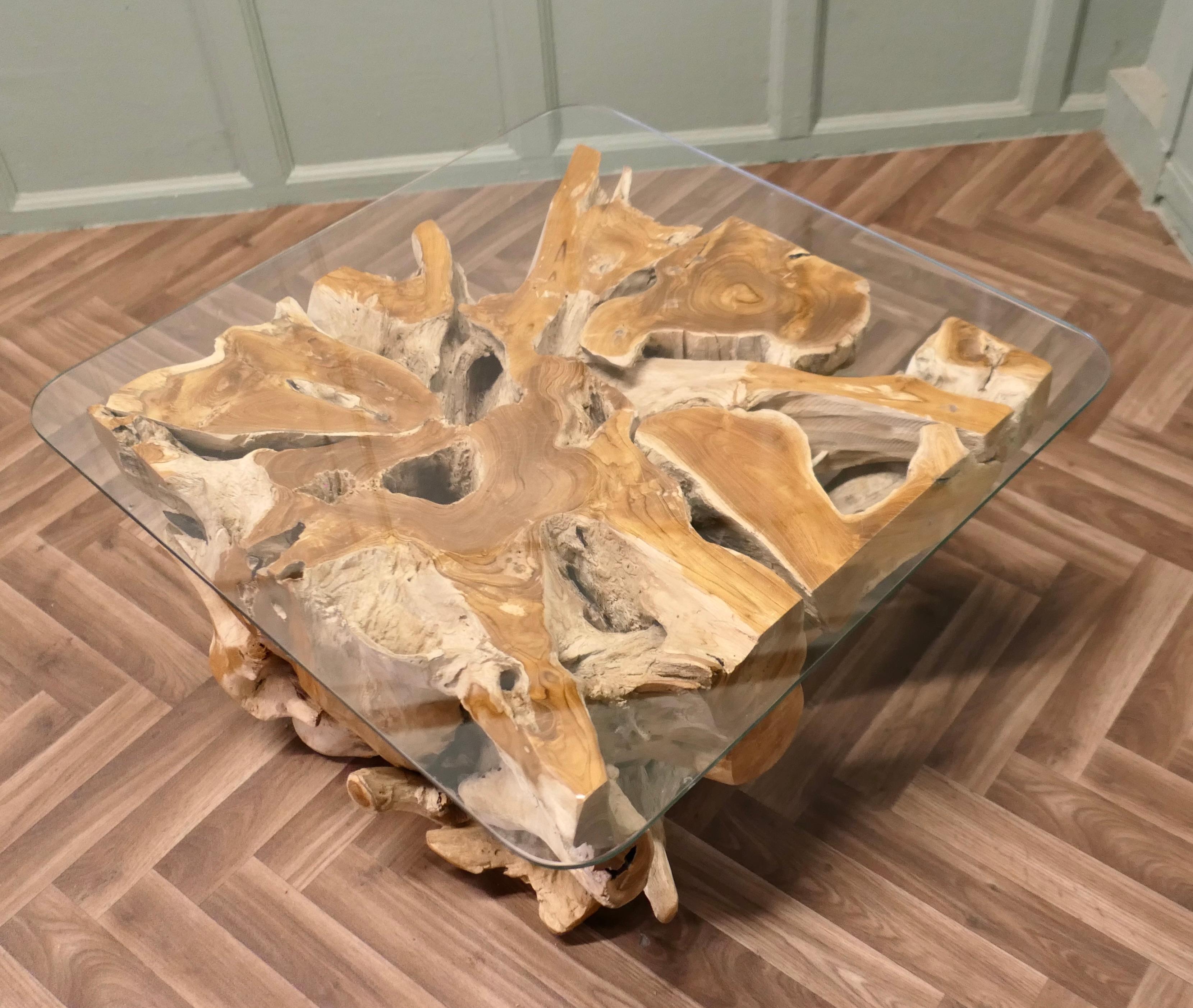 Live Edge Eibenholz Wurzelbaum Couchtisch mit Glasplatte (Ende des 20. Jahrhunderts) im Angebot