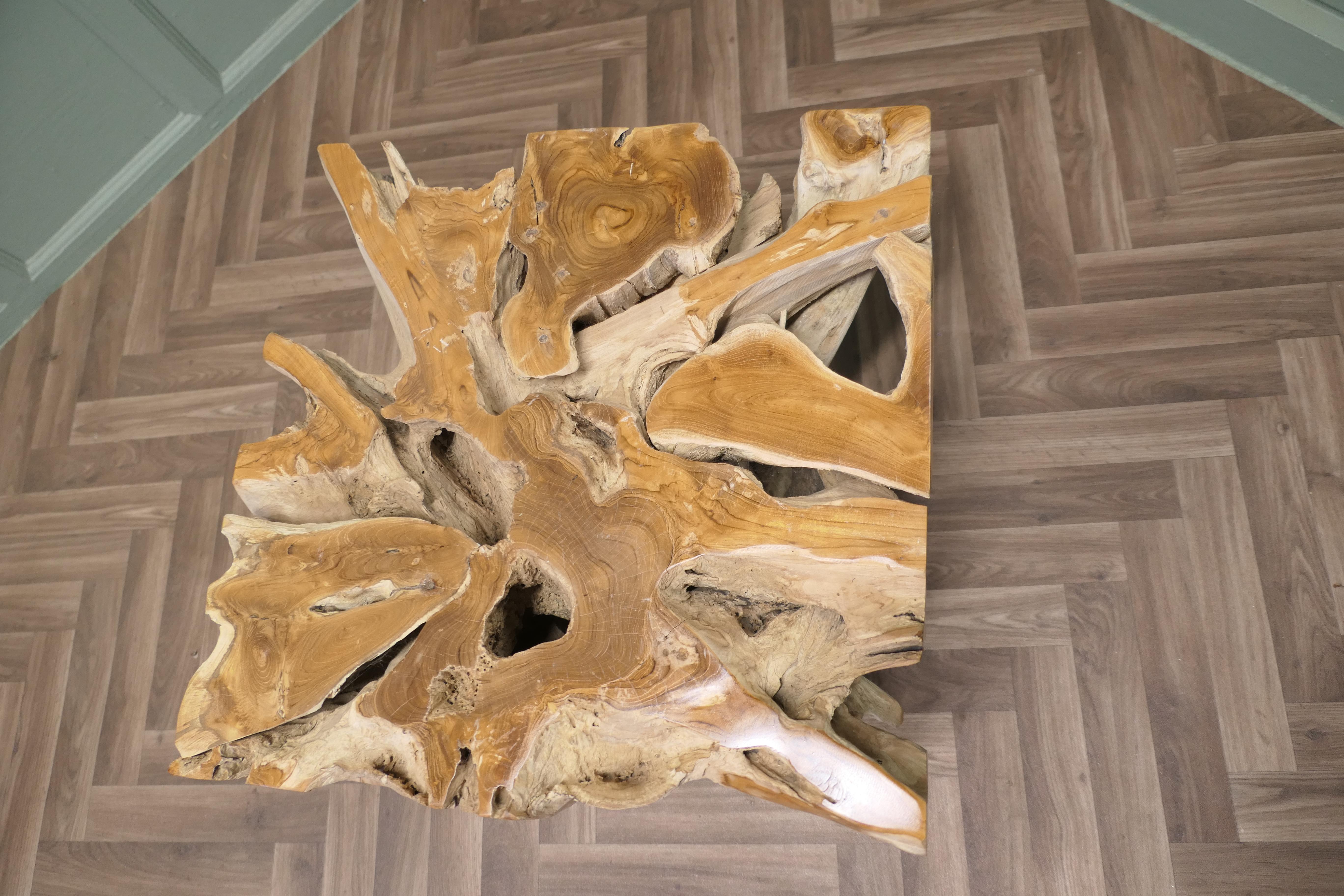Live Edge Eibenholz Wurzelbaum Couchtisch mit Glasplatte im Angebot 1