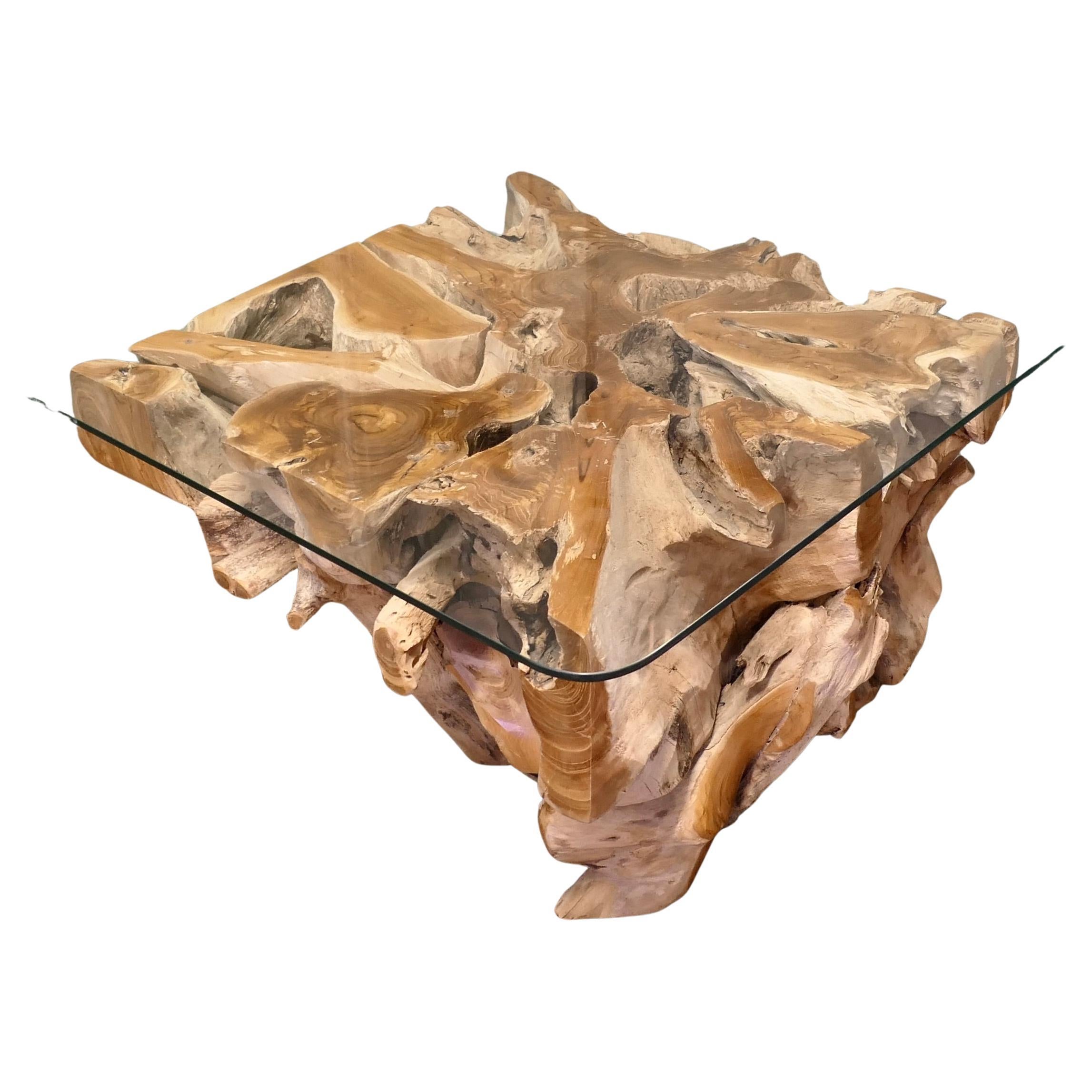 Live Edge Eibenholz Wurzelbaum Couchtisch mit Glasplatte im Angebot
