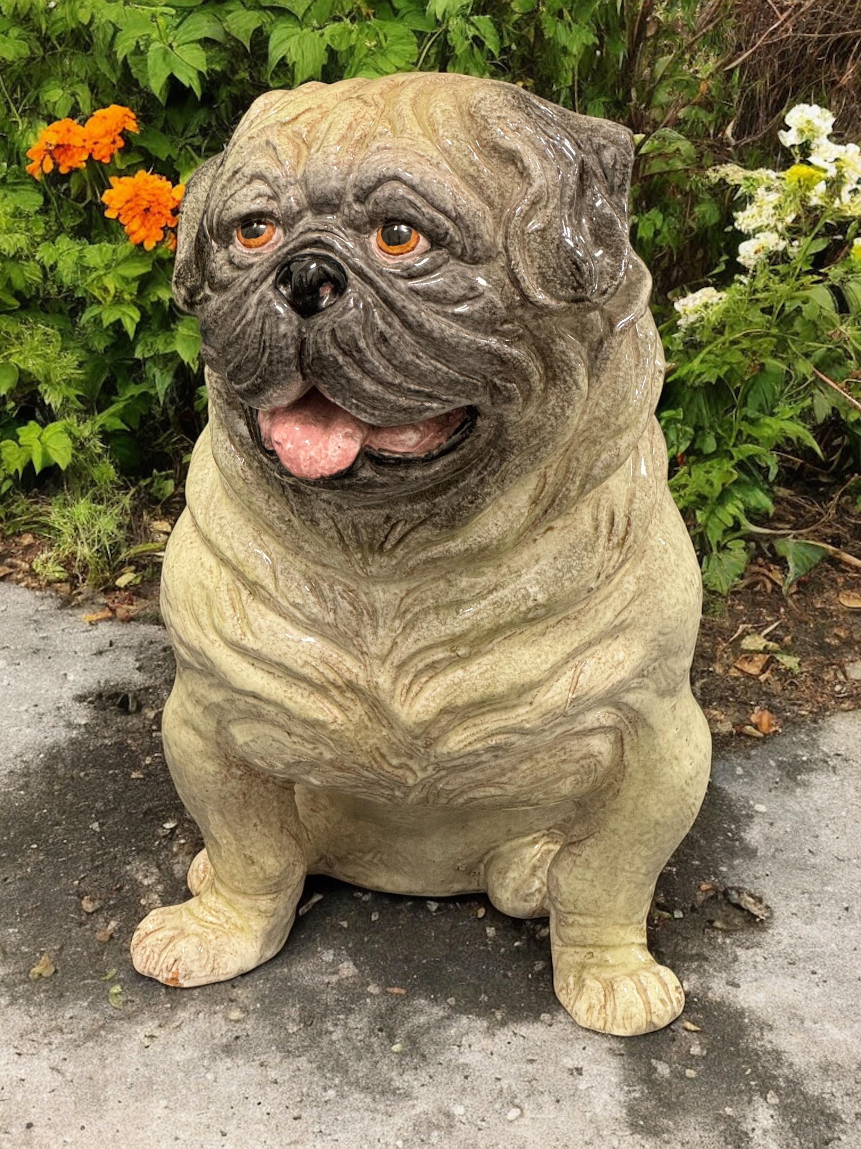 Statua di cane in terracotta del carlino italiano a grandezza naturale Vintage, anni '60 in vendita 3