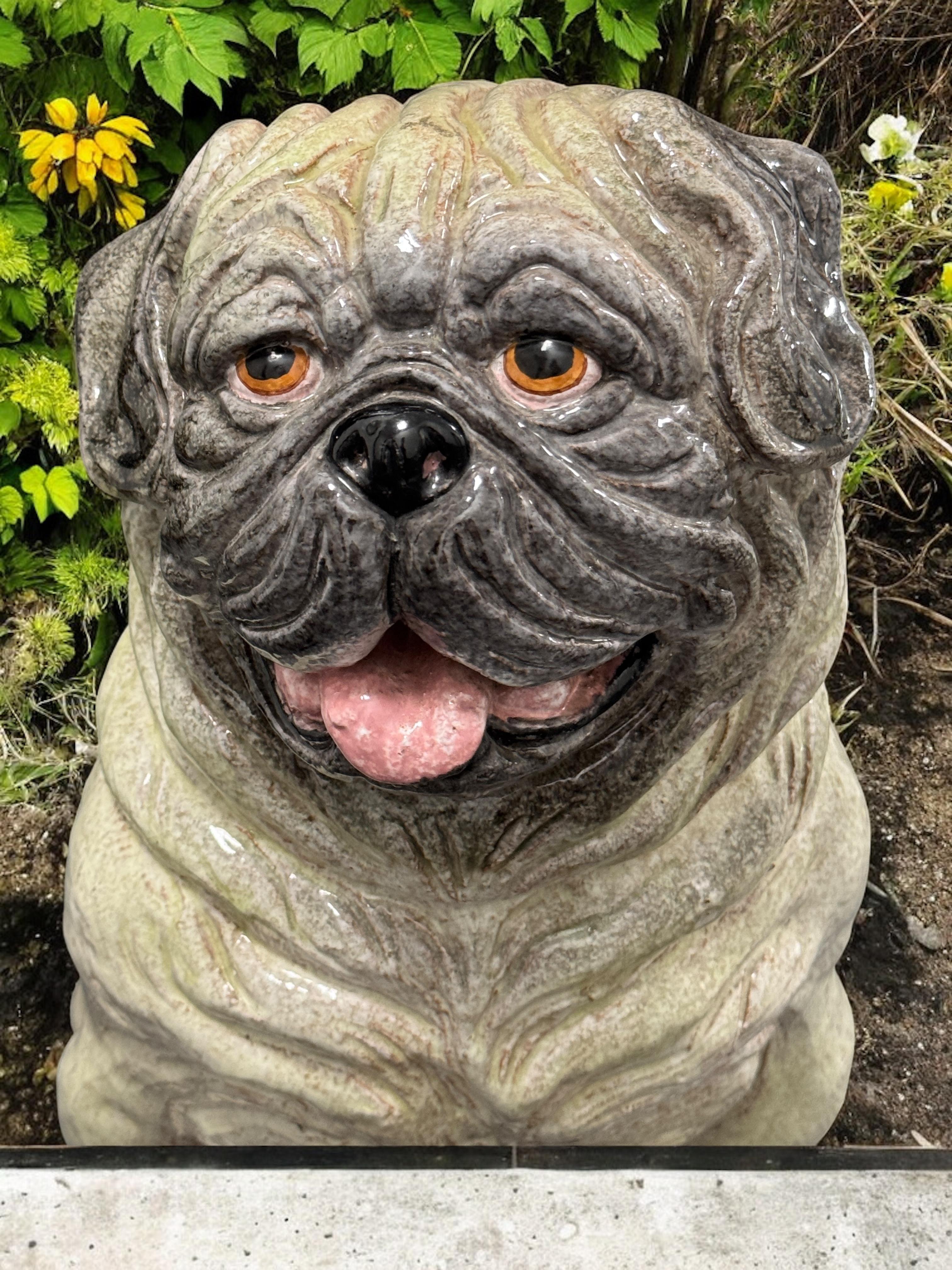 Statua di cane in terracotta del carlino italiano a grandezza naturale Vintage, anni '60 in vendita 11