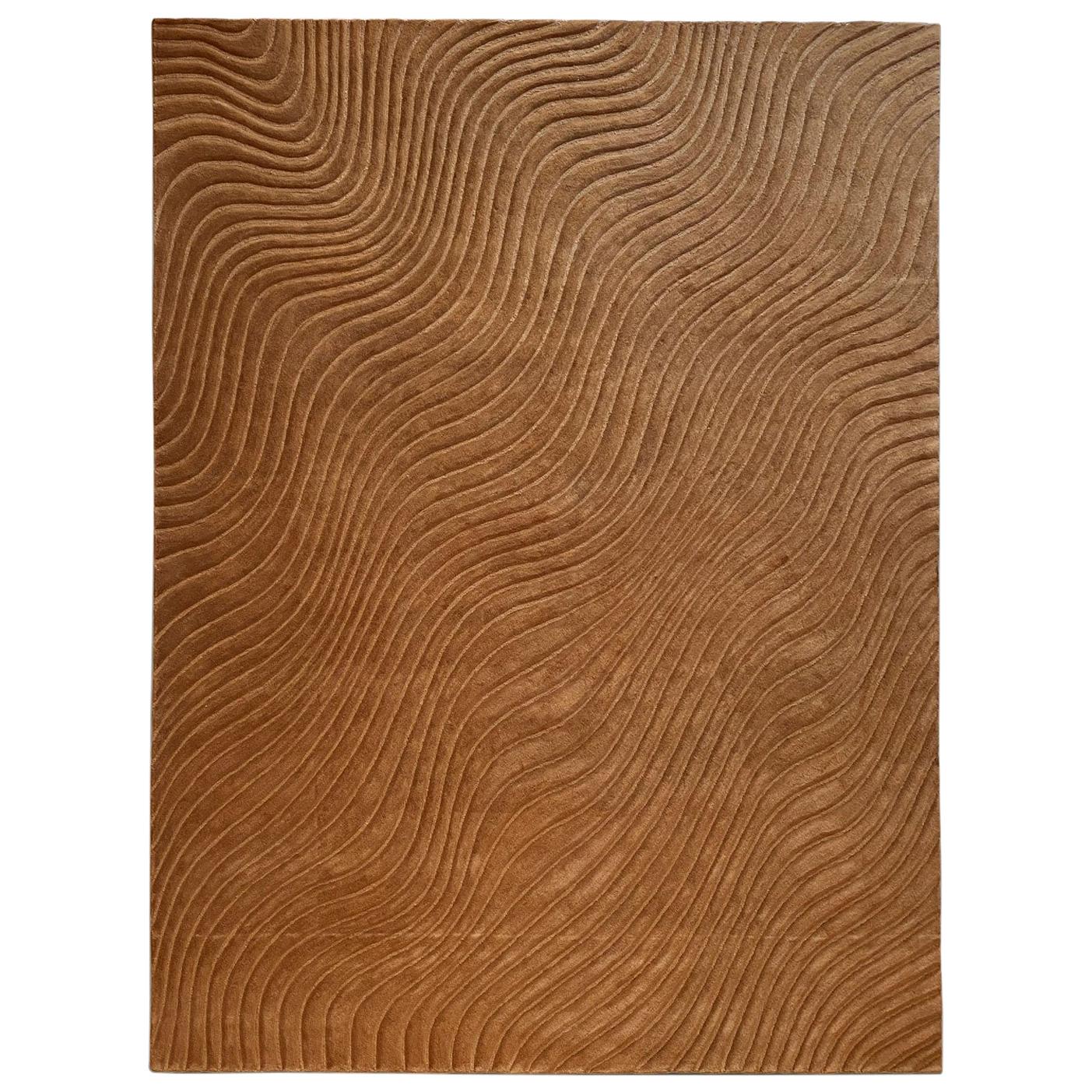 Tapis de salon du 21e siècle en laine de couleur sable chaud par Deanna Comellini 300 x 400 cm