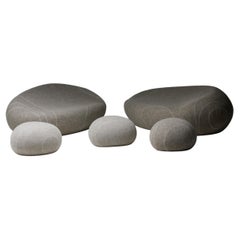 Livingstones Pebbles Domestic Landscape