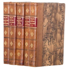 Livros - Dostoyevsky; Fiodor - Set of 3 books