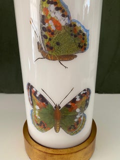Liz Marsh Designs Decoupage Insect Study Petite Lamp